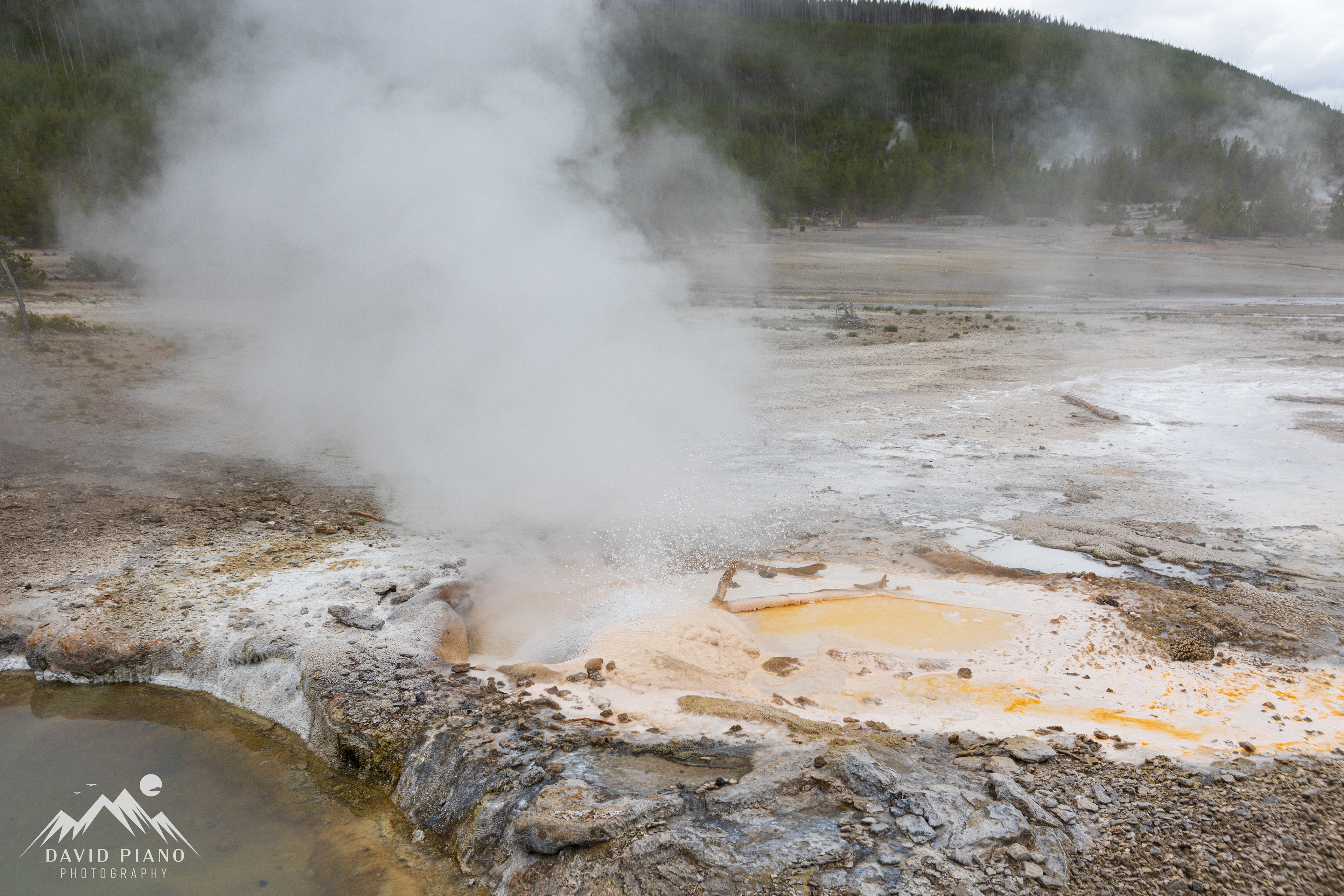 Veteran Geyser