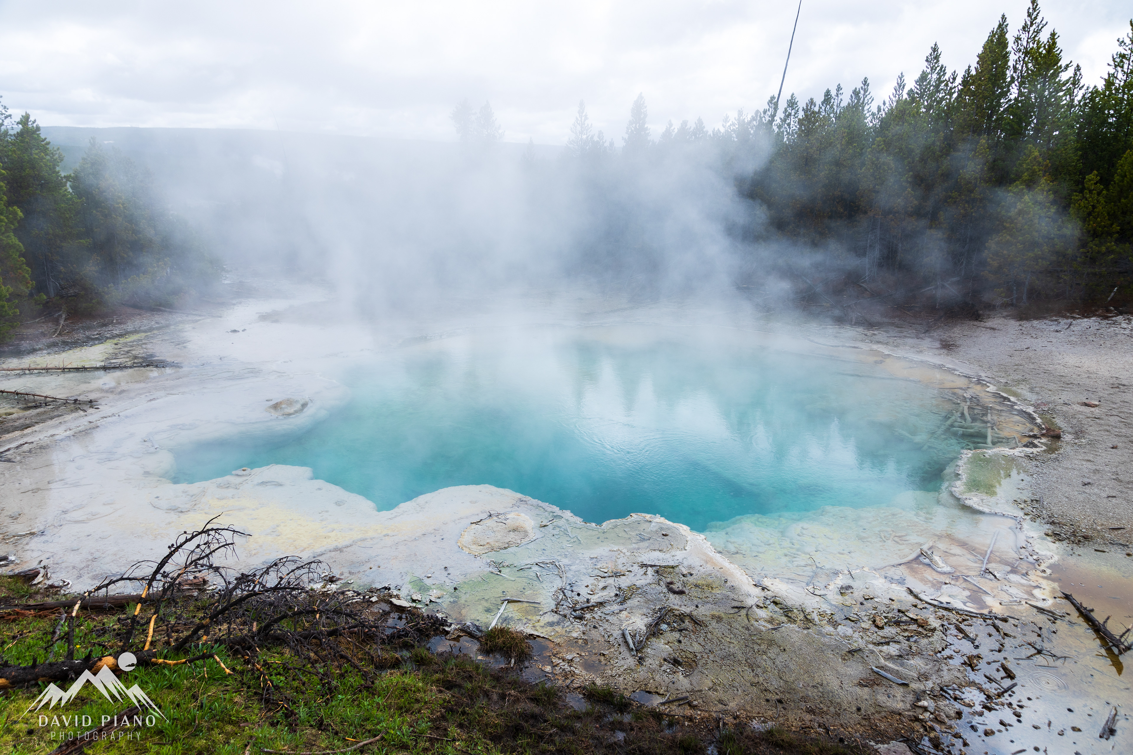 Emerald Spring