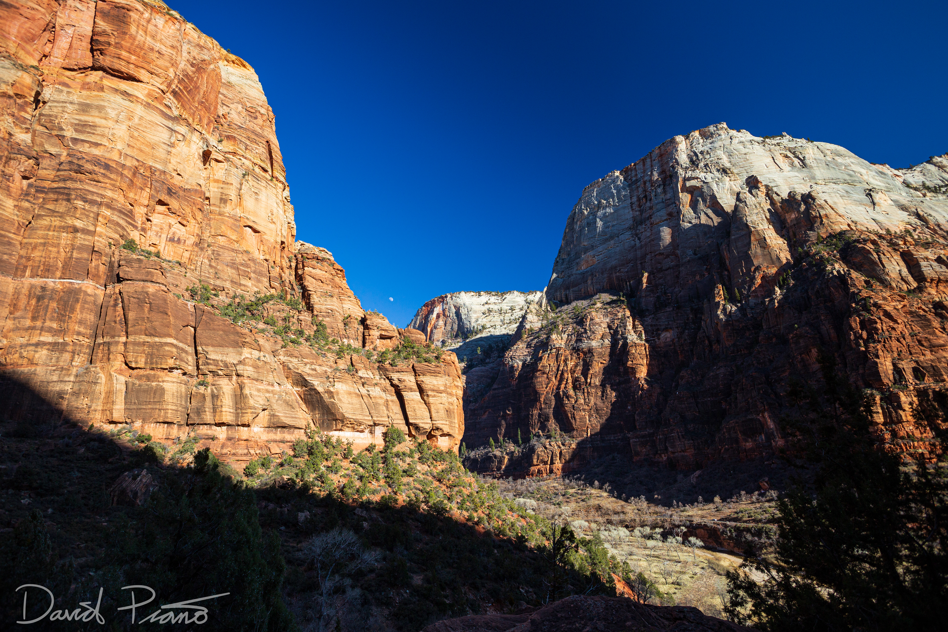 Zion Canyon - Feb. 2020