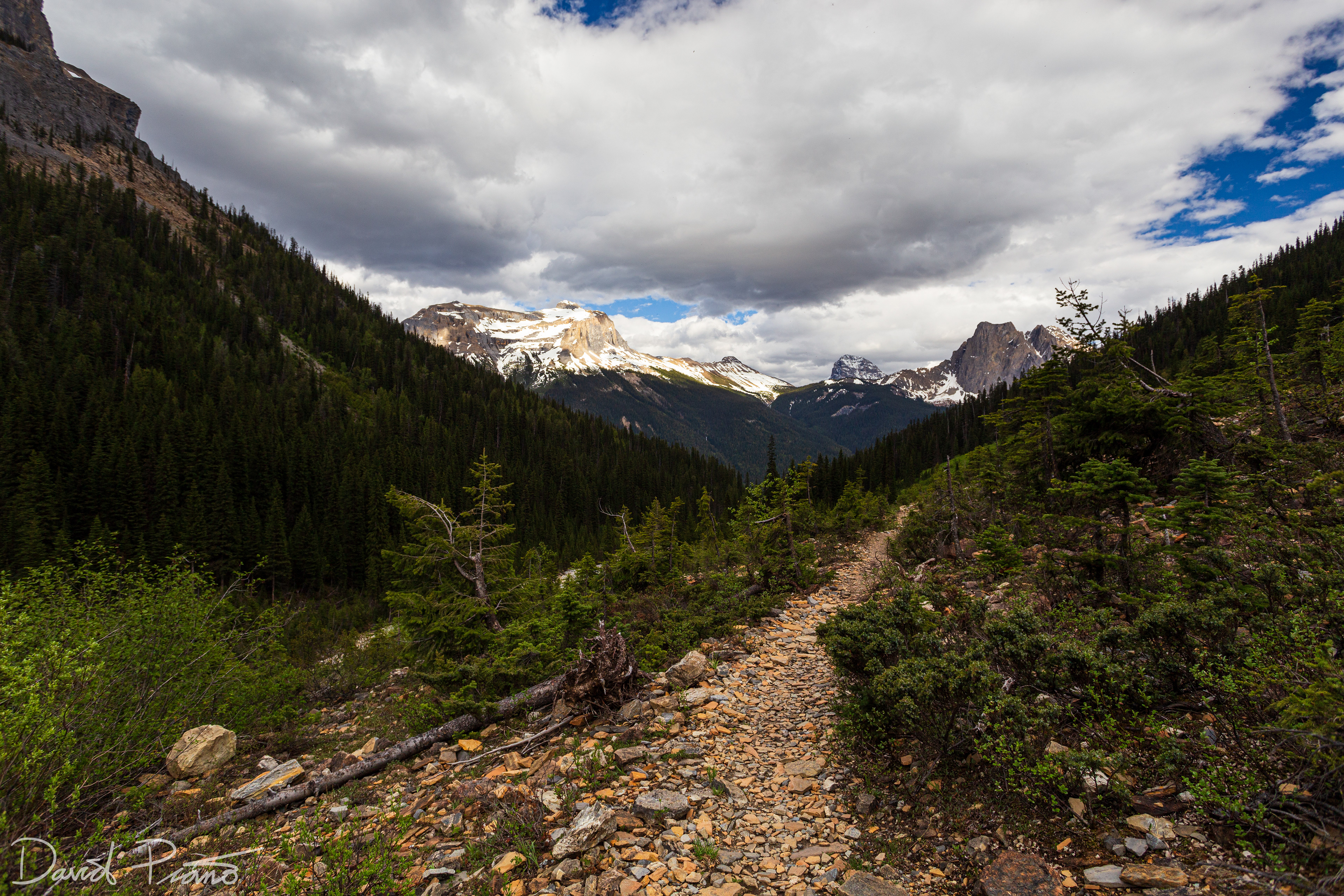 Emerald Basin, Yoho National Park - June 2021