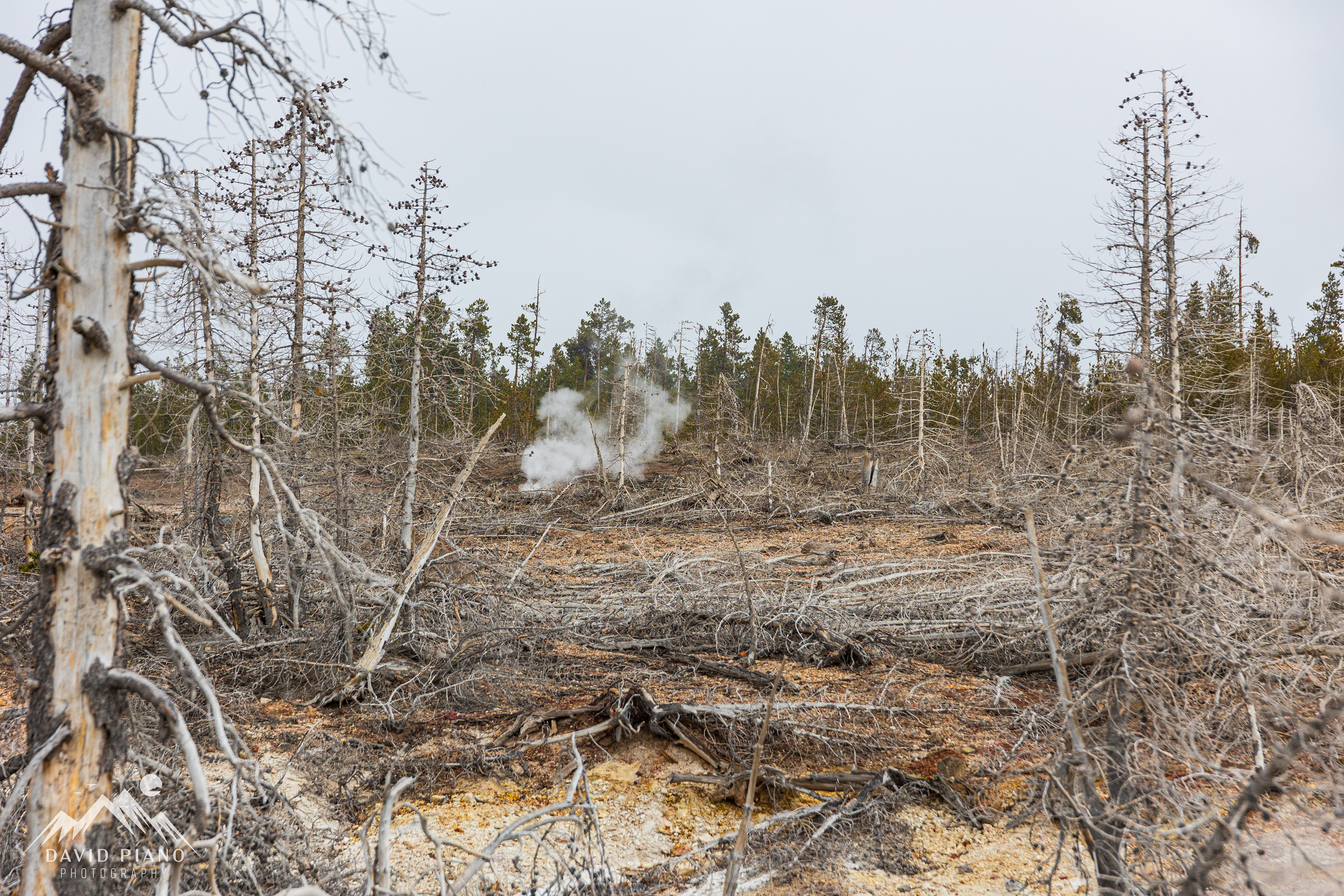 Steamboat Geyser