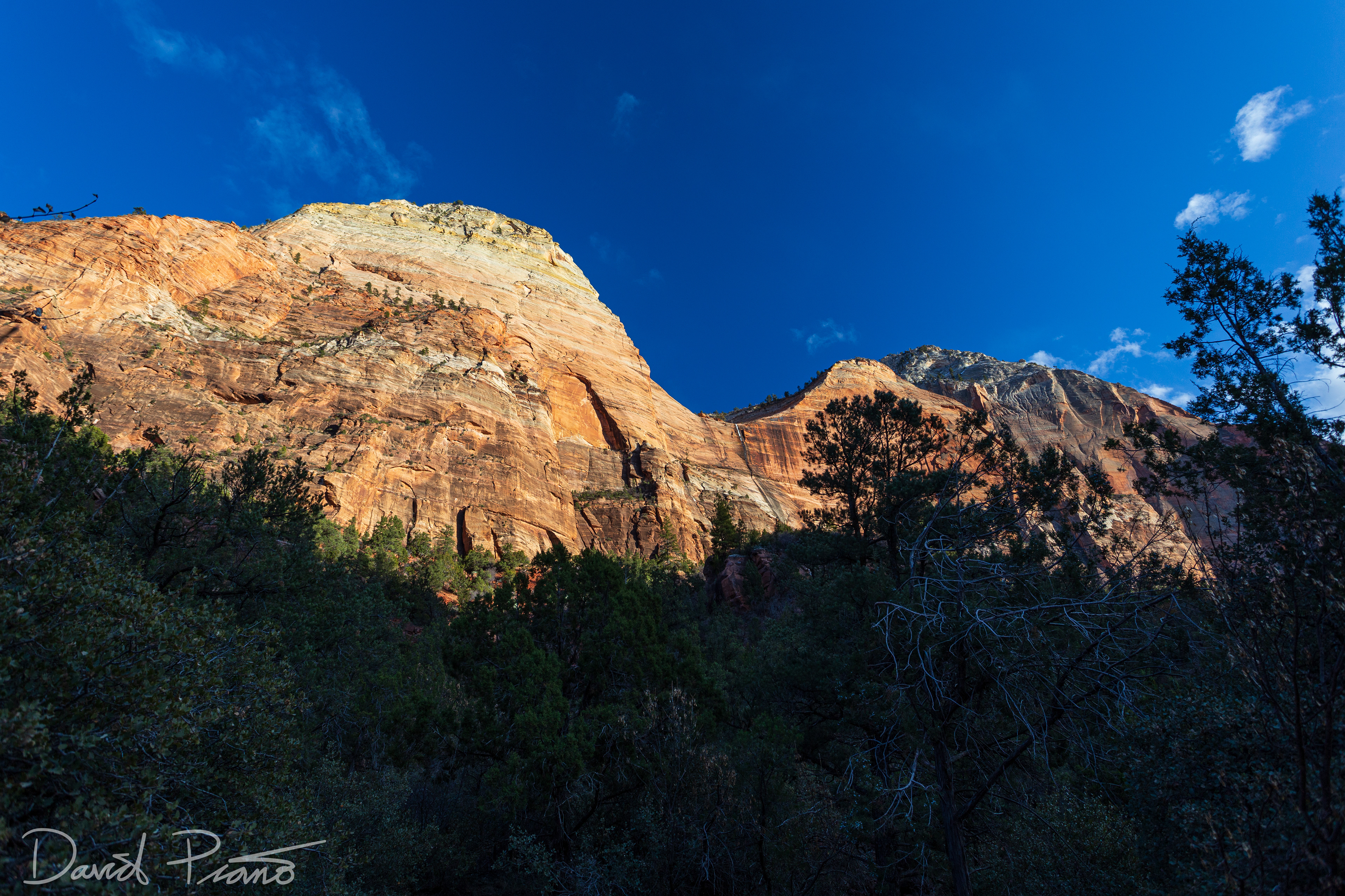 Zion Canyon - Feb. 2020