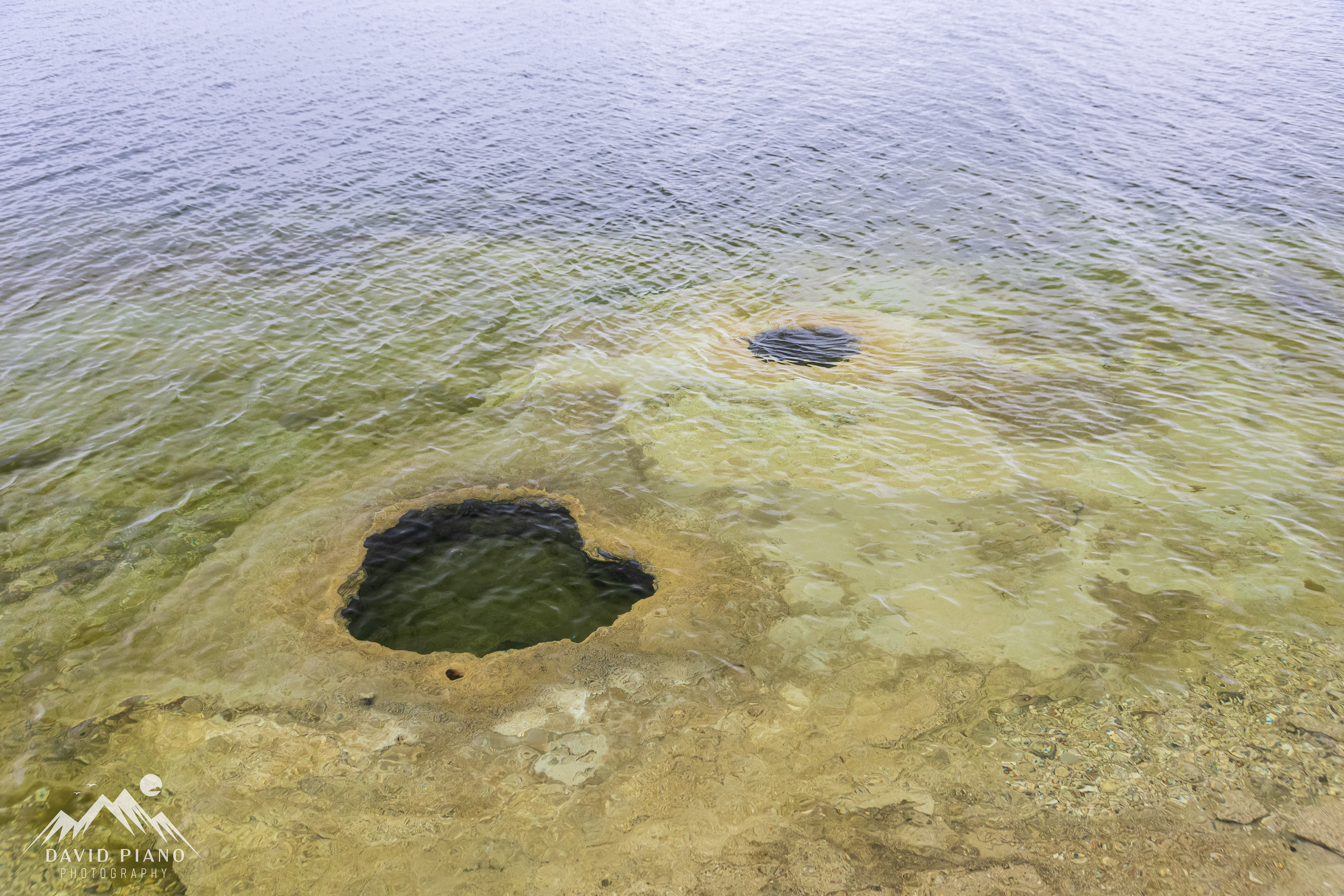 Lakeshore Geyser