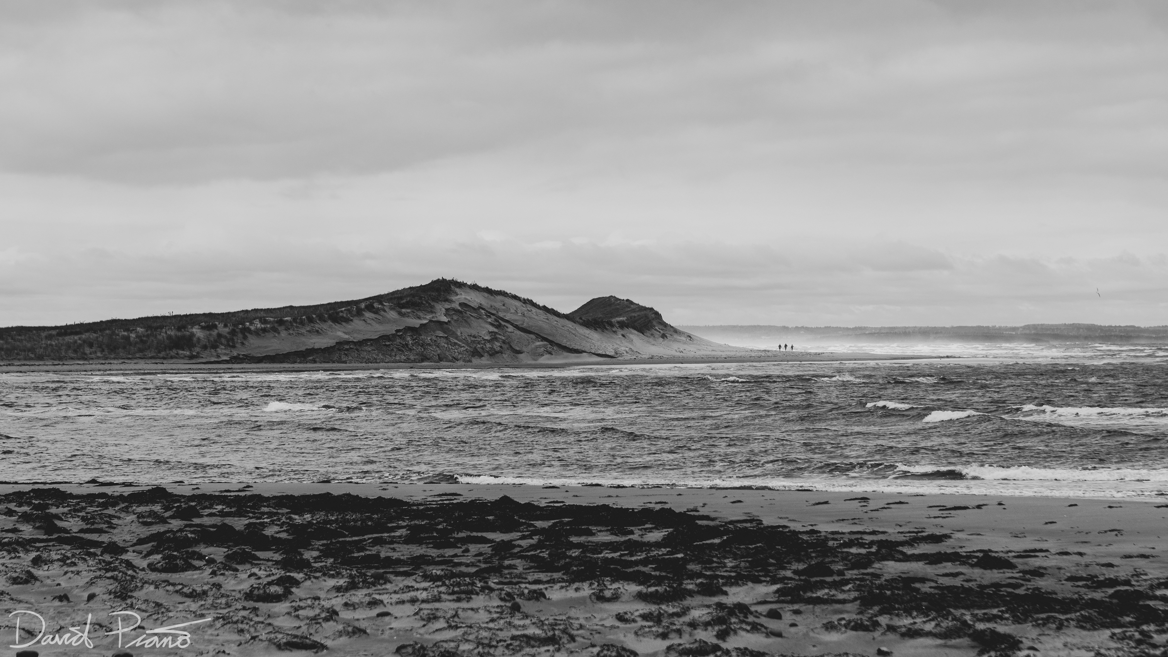 Sand Dunes & Silhouettes