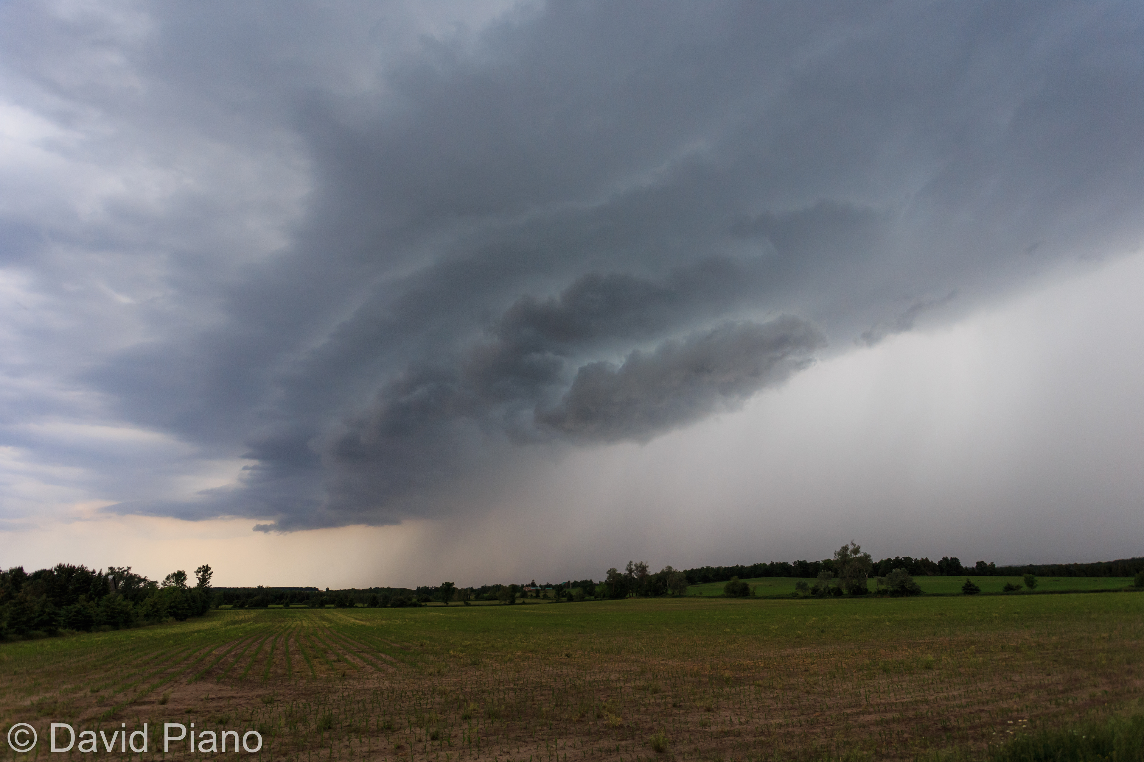 Thunderstorm near Brucedale - June 16, 2017