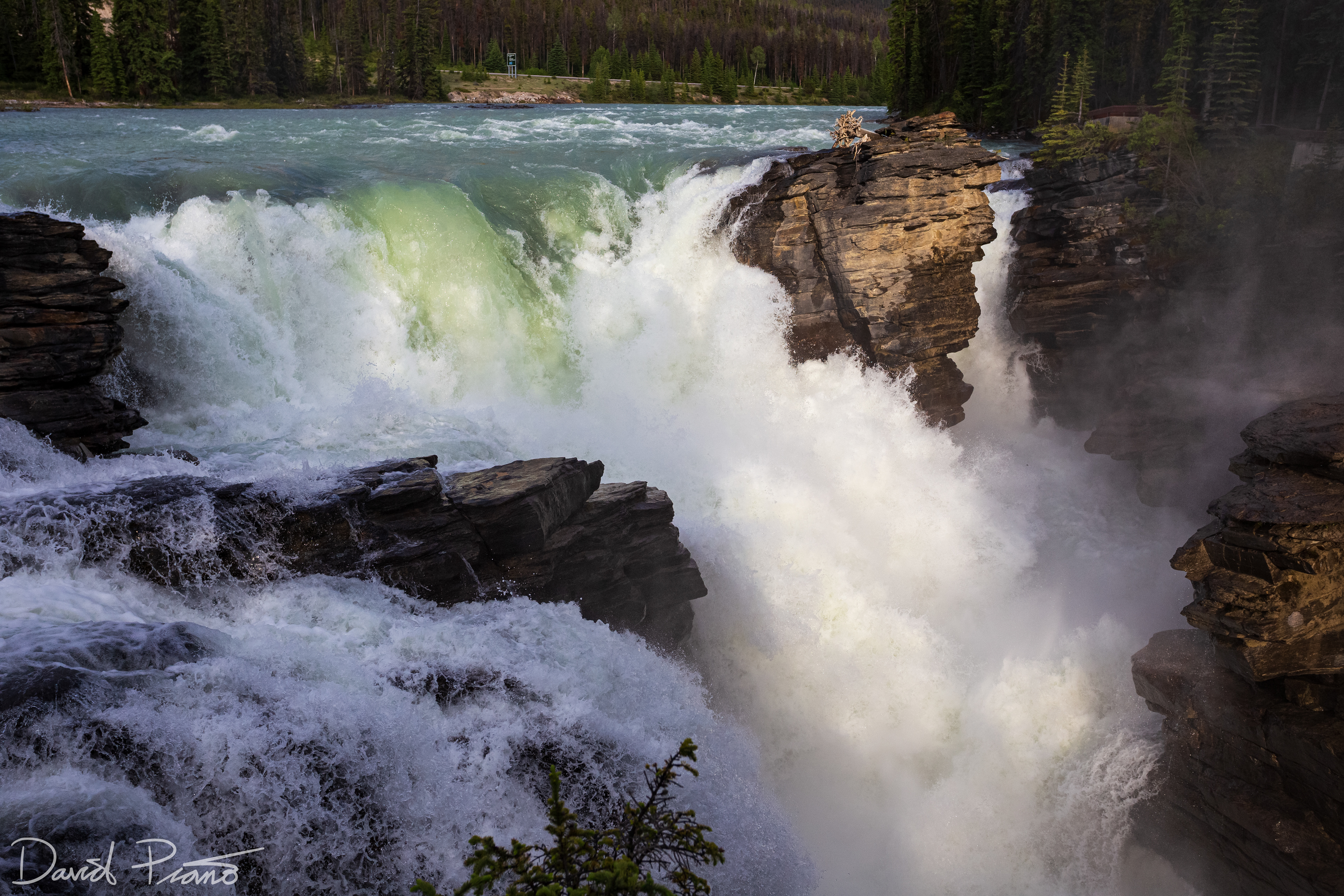 Athabasca Falls