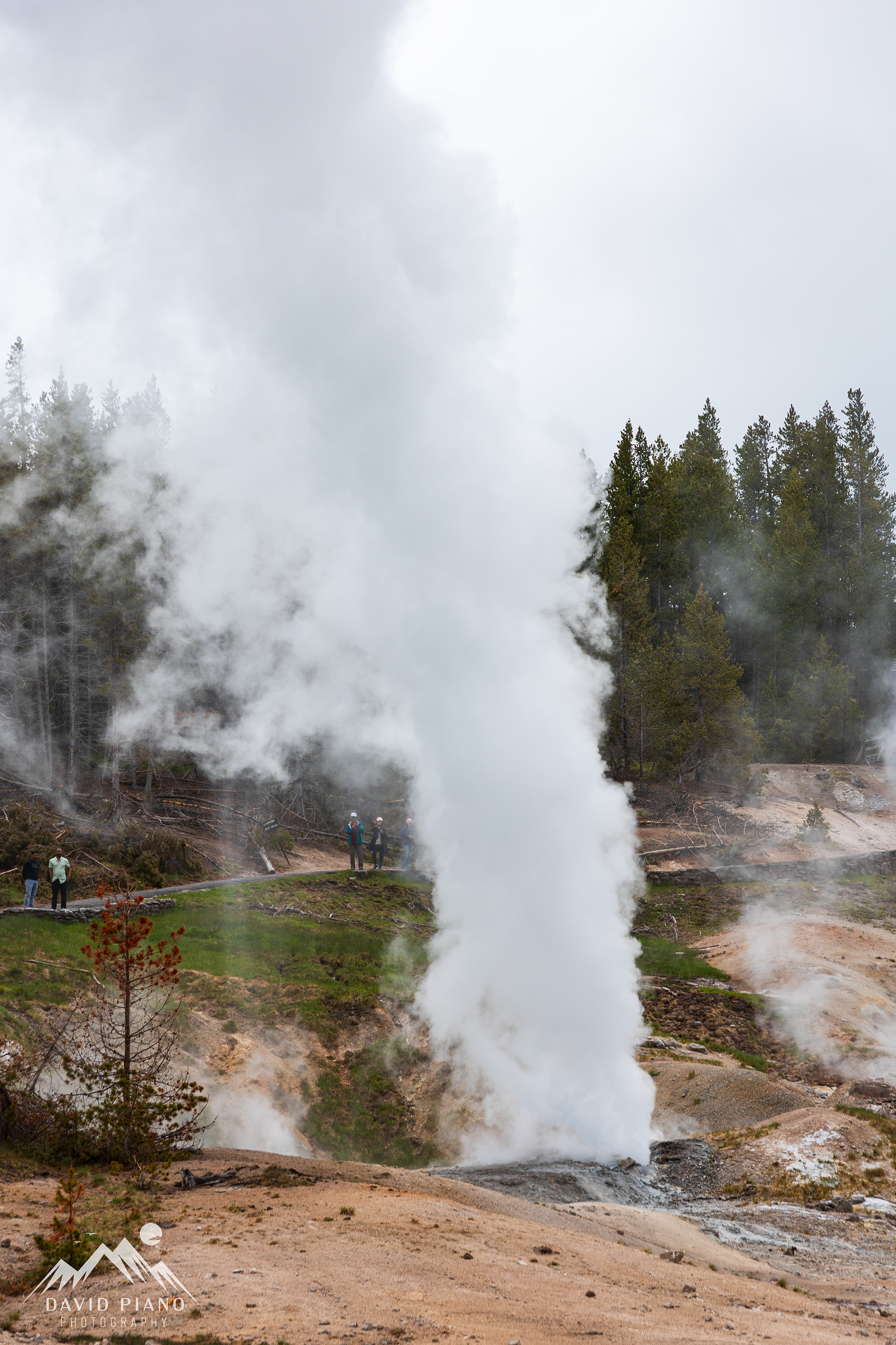 Ledge Geyser