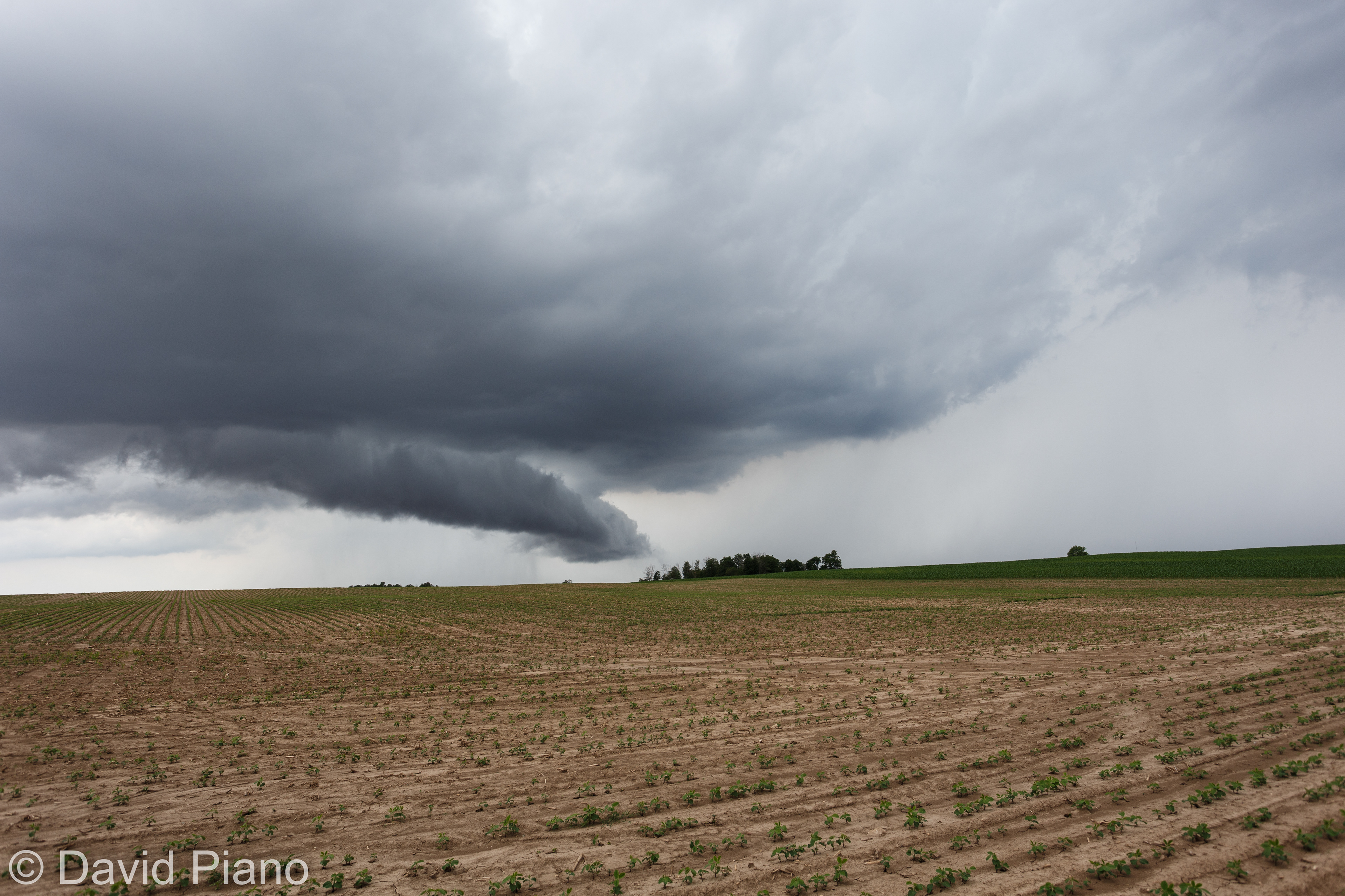 Storm near Belmont - June 17, 2017