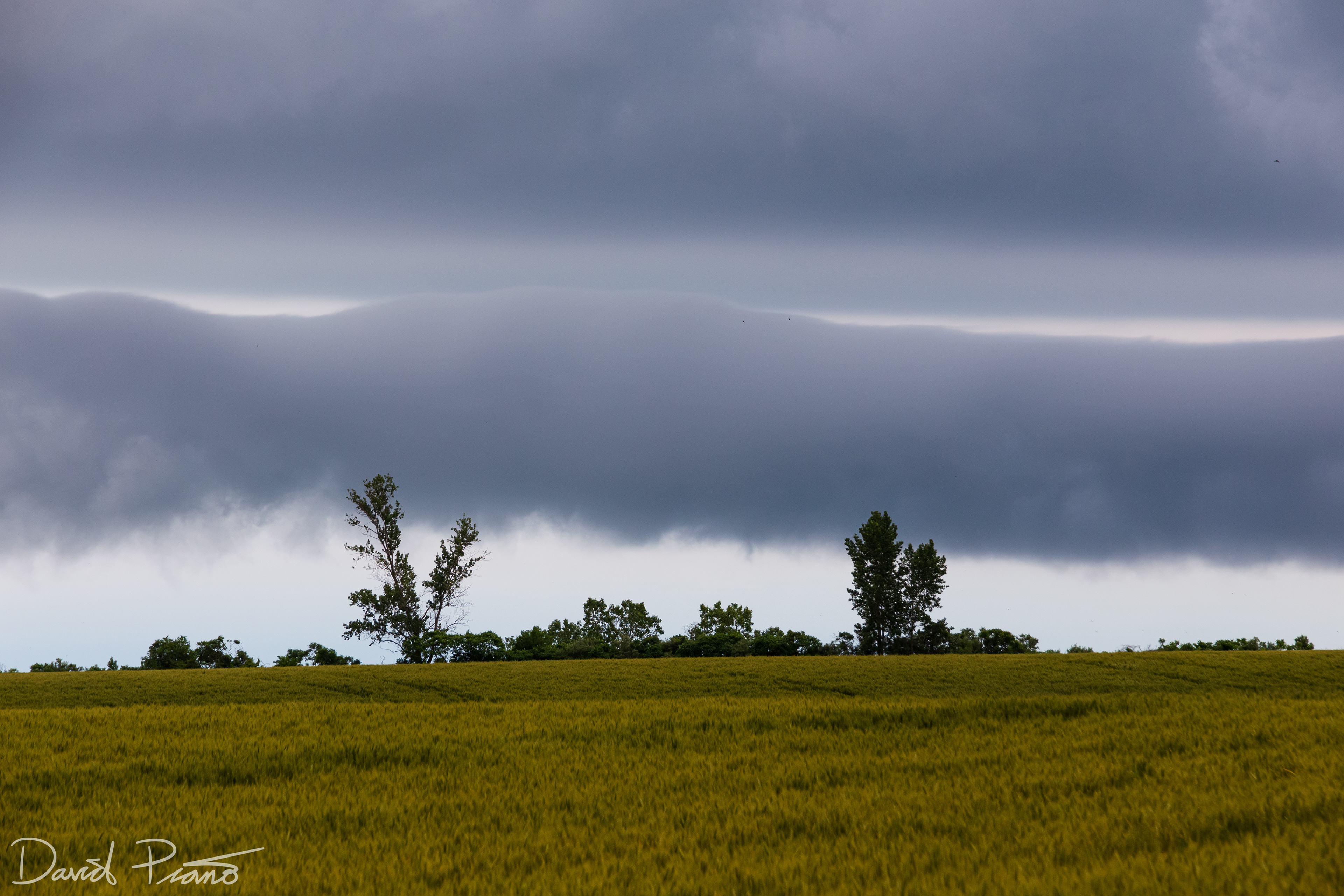 This roll cloud formed over Lake Erie as cold t-storm outflow surged over the water