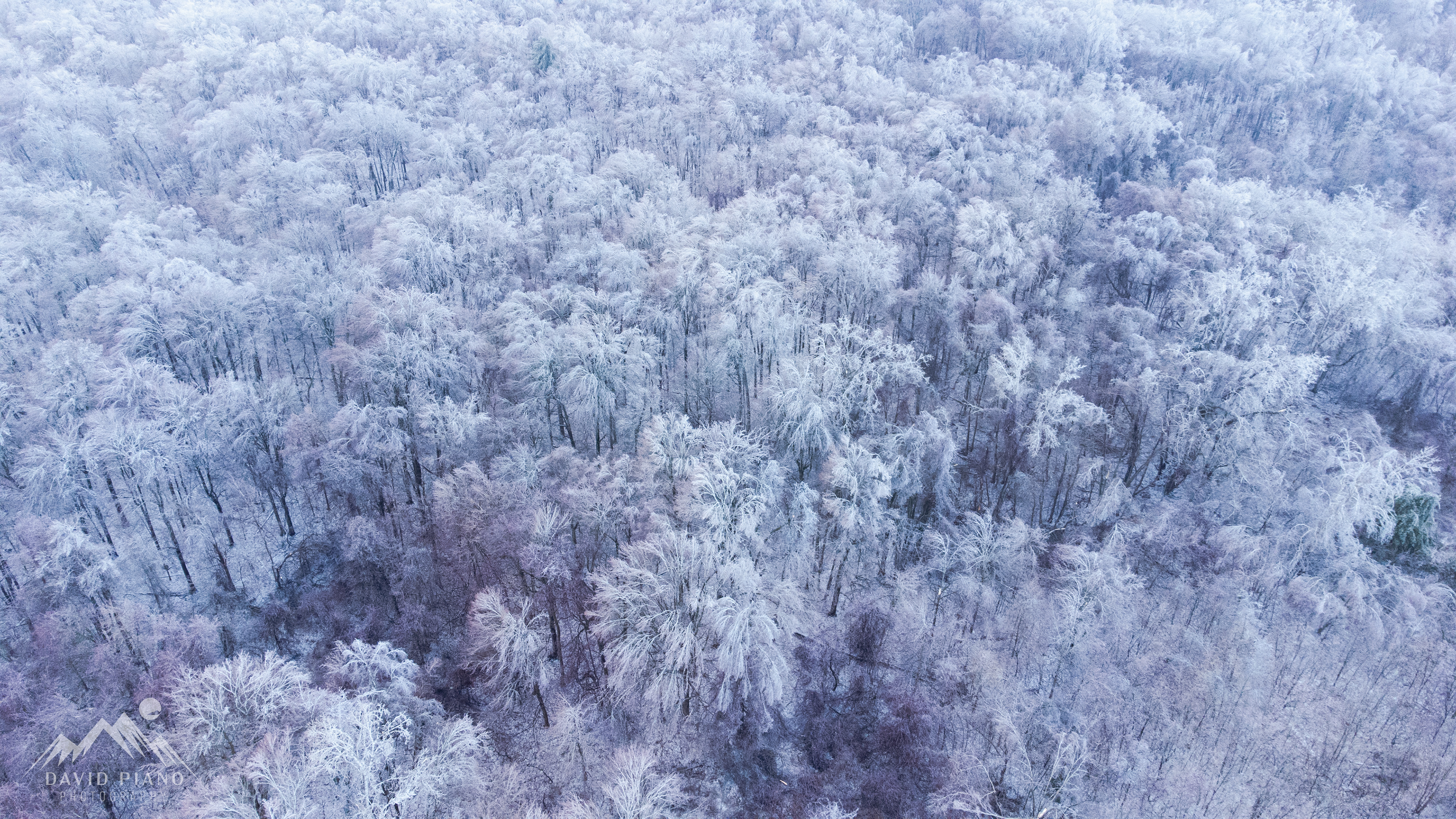 Drone views of an ice storm in Norfolk County, ON on Feb 23, 2023