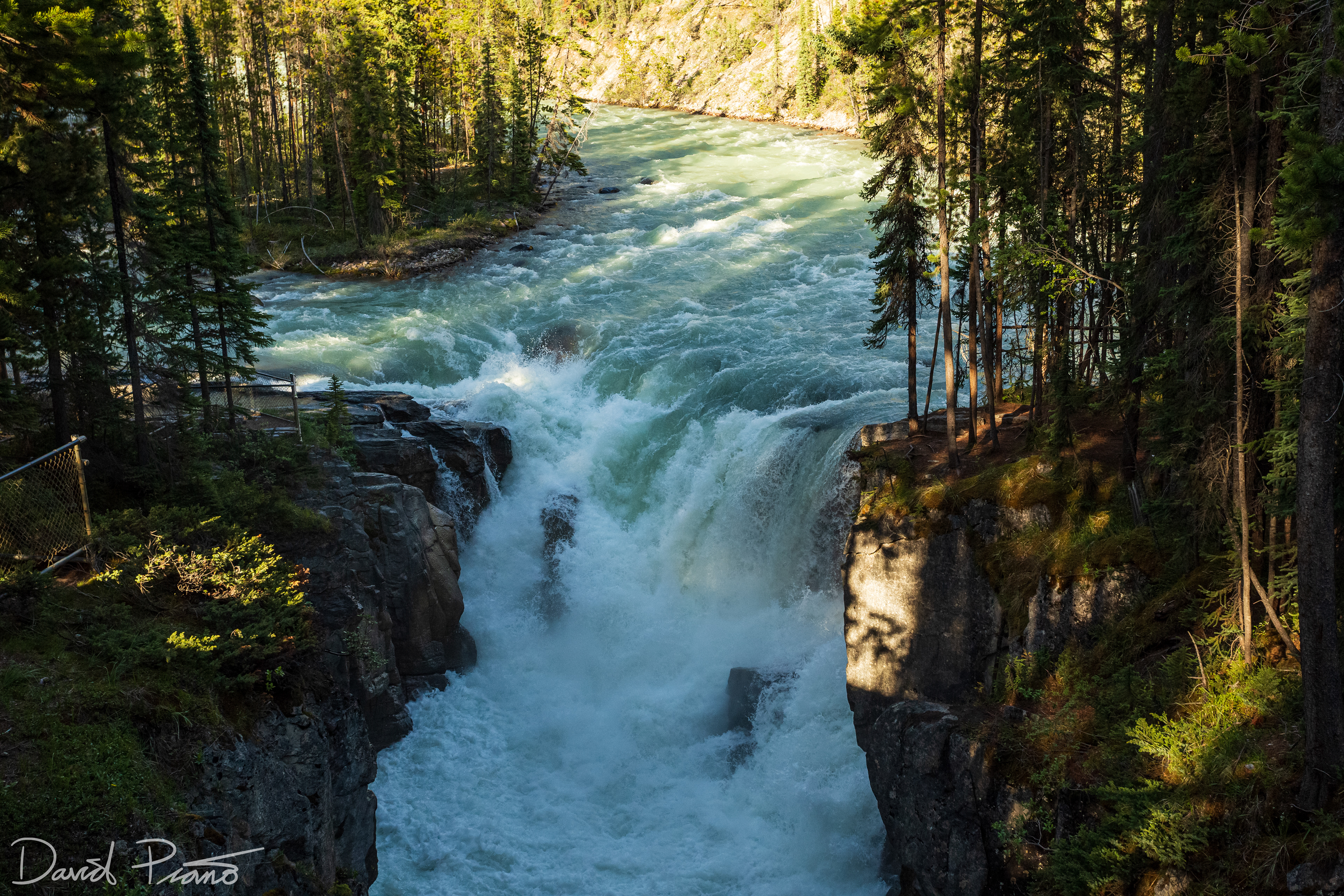 Sunwapta Falls
