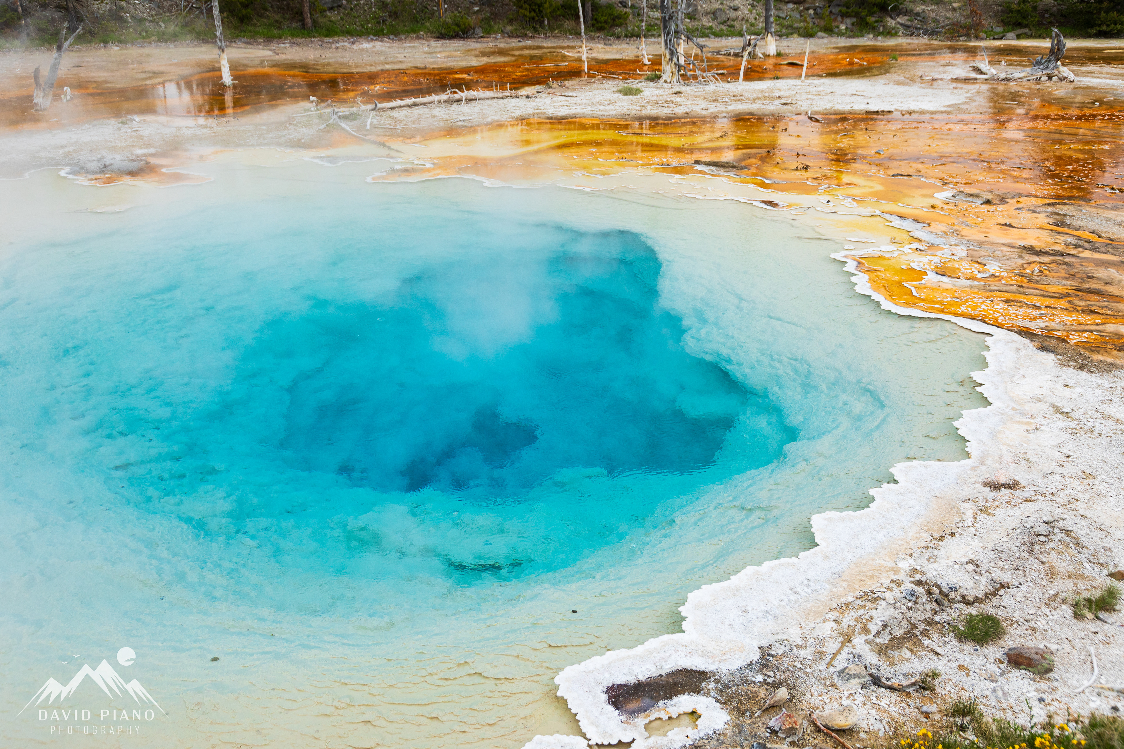 Silex Spring