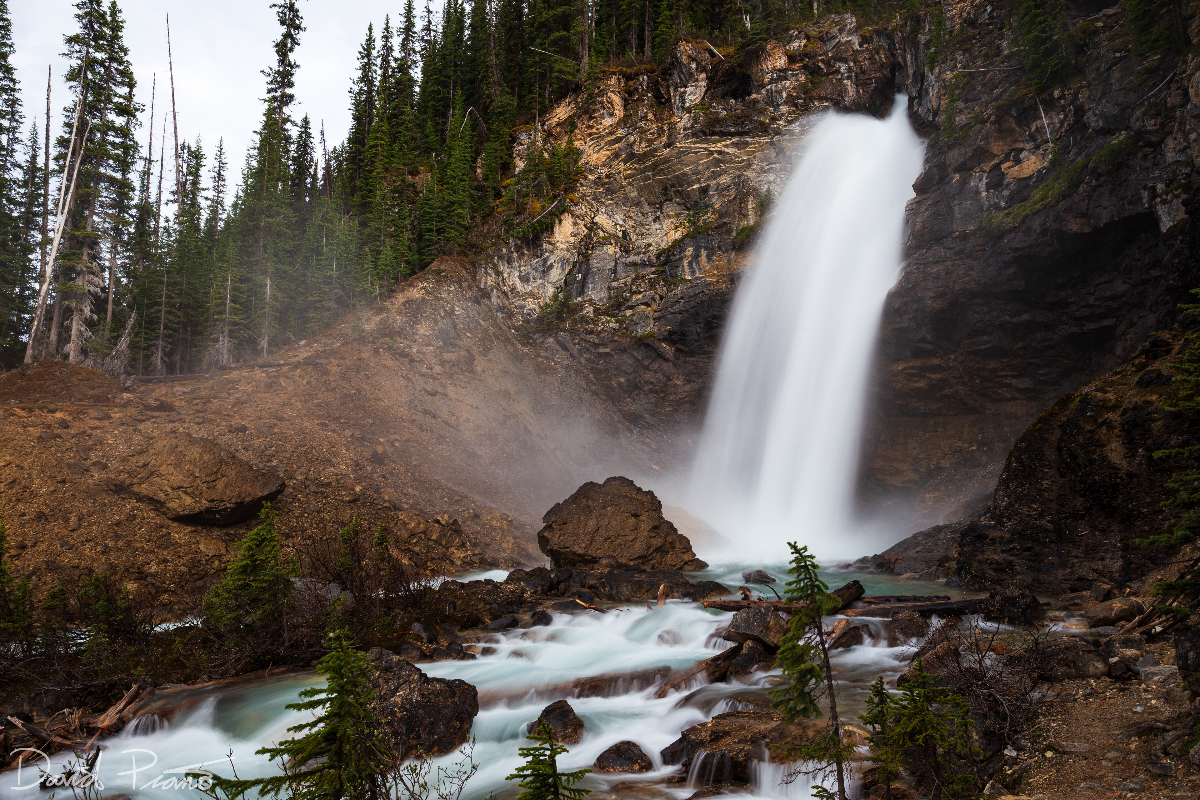 Laughing Falls - Yoho National Park