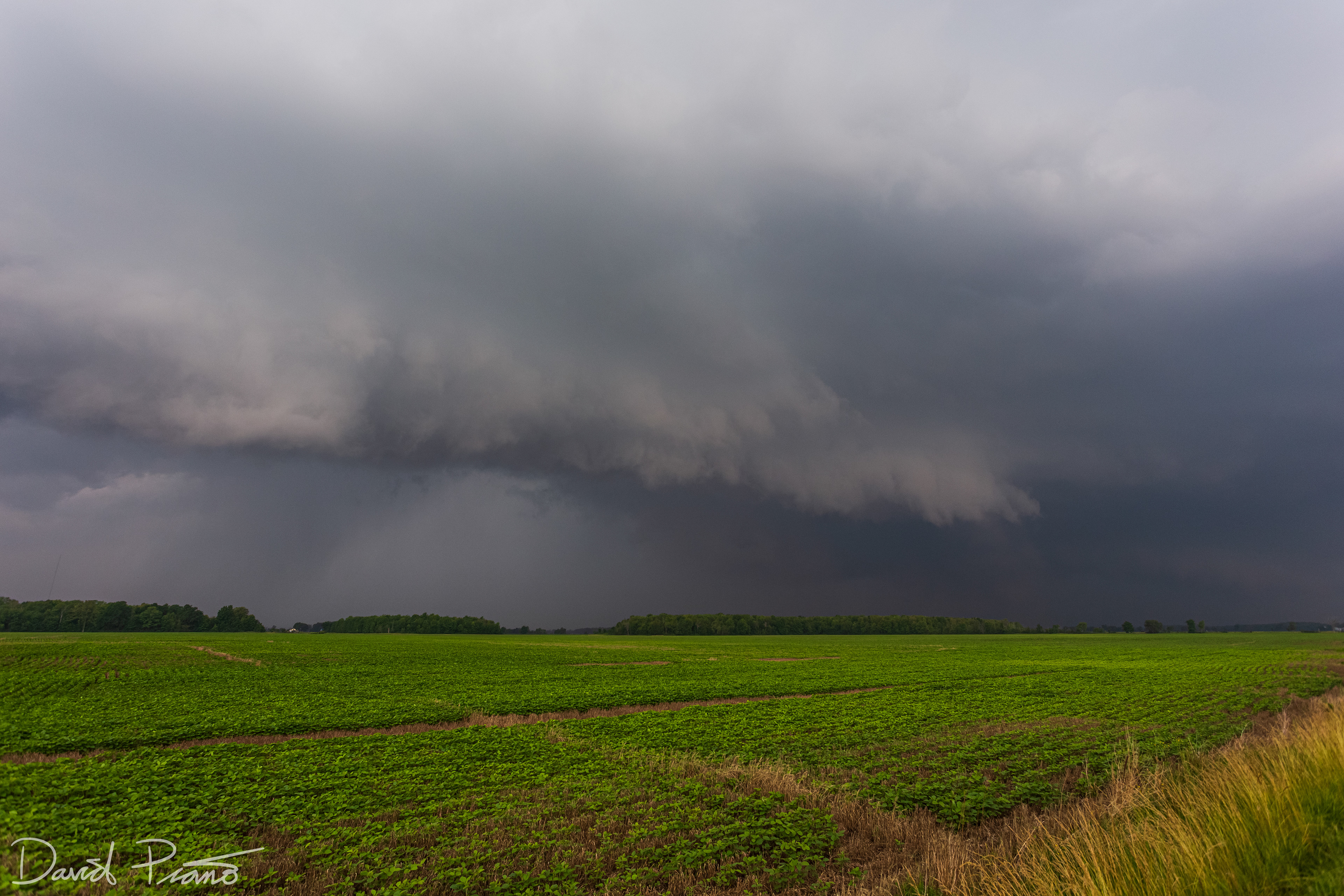 July 7 - A supercell thunderstorm traverses across Lambton County causing swaths of wind damage