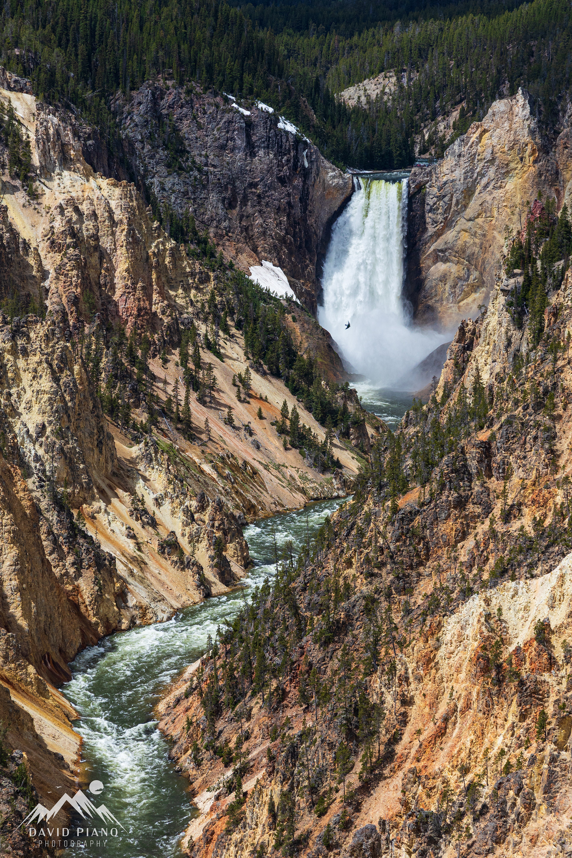 Lower Falls of the Yellowstone River