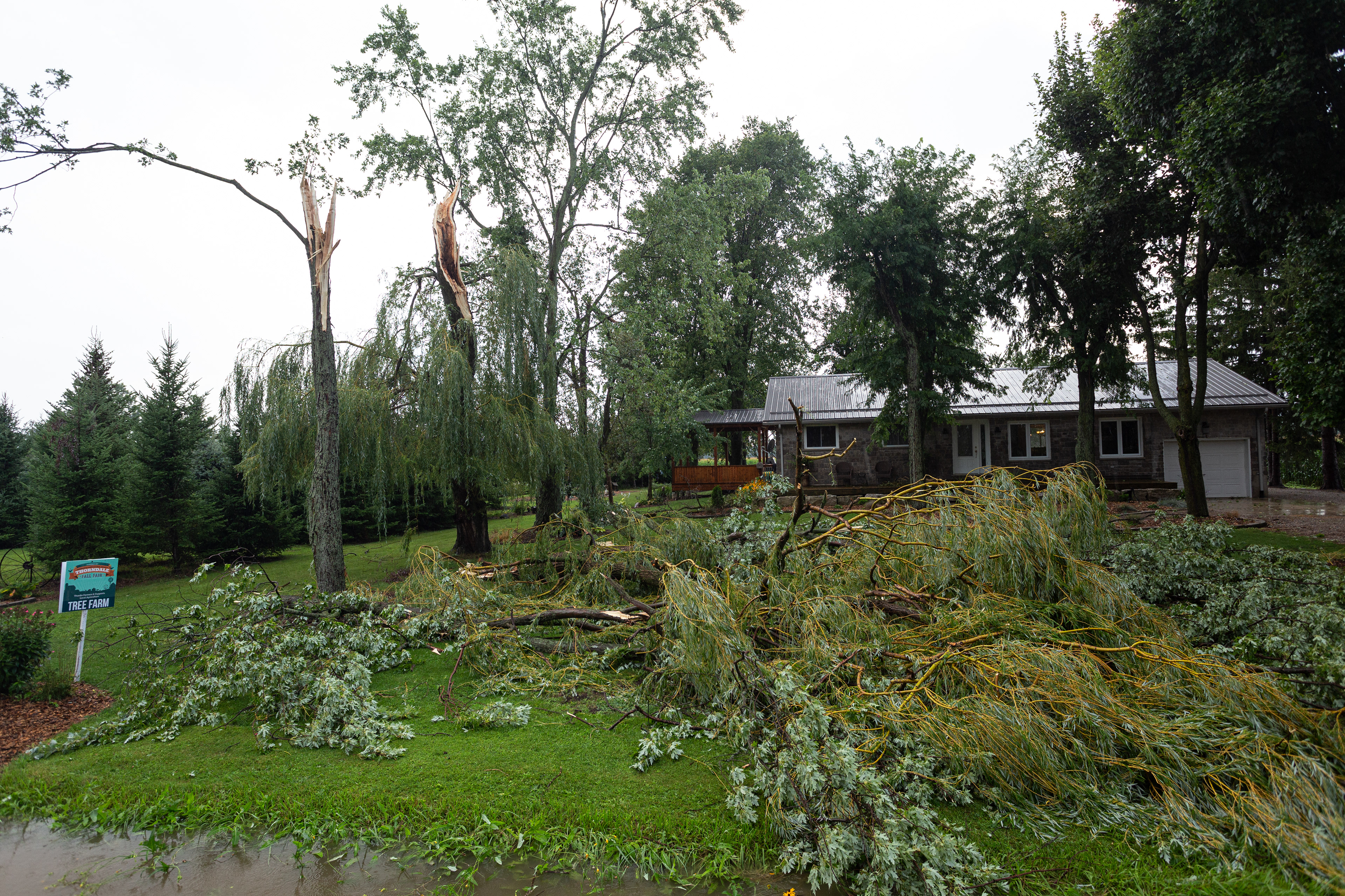 Microburst damage just NE of the London Airport