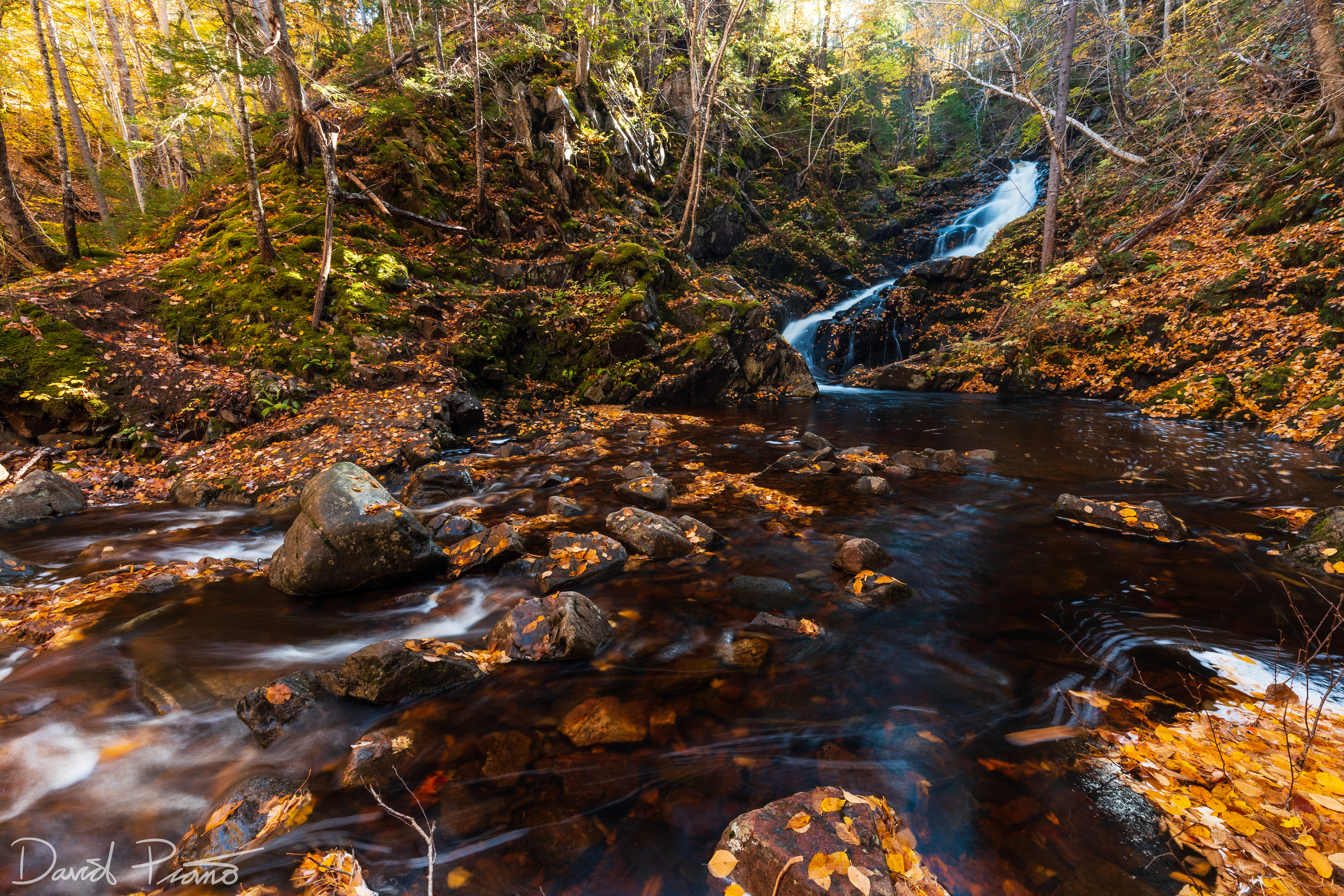 MacIntosh Brook Falls