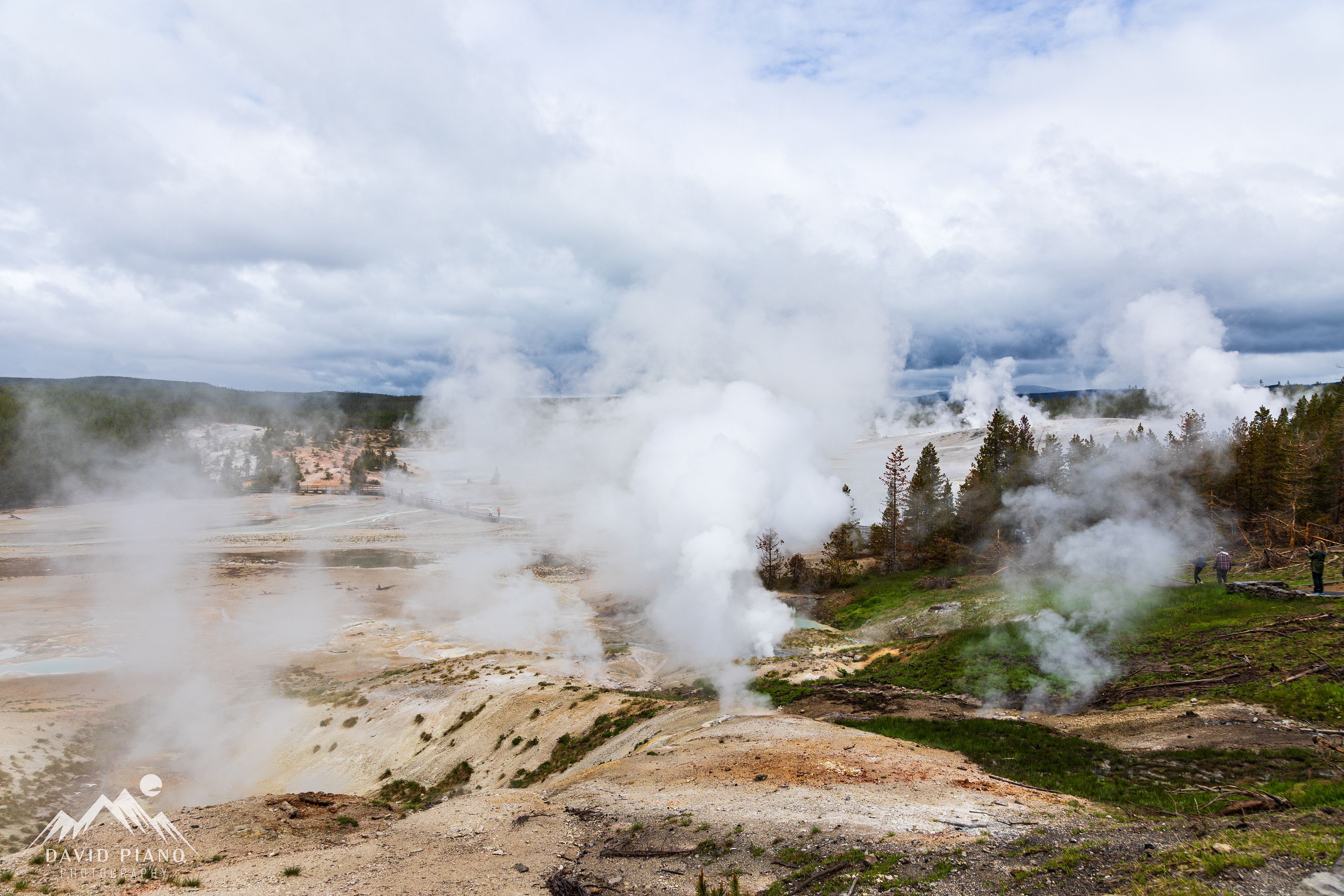 Overlook of Norris Geyser Basin