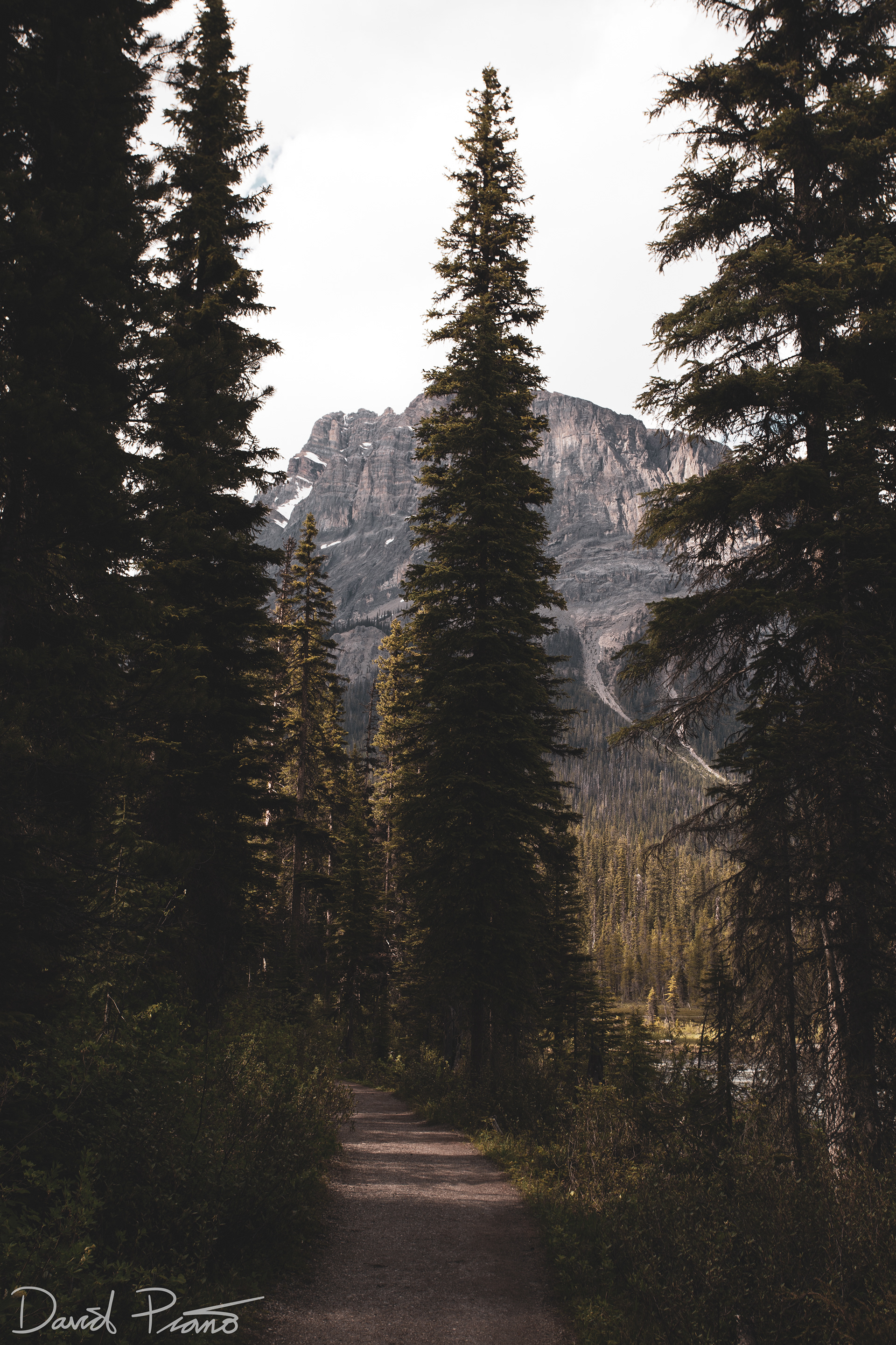 Hiking in Yoho National Park