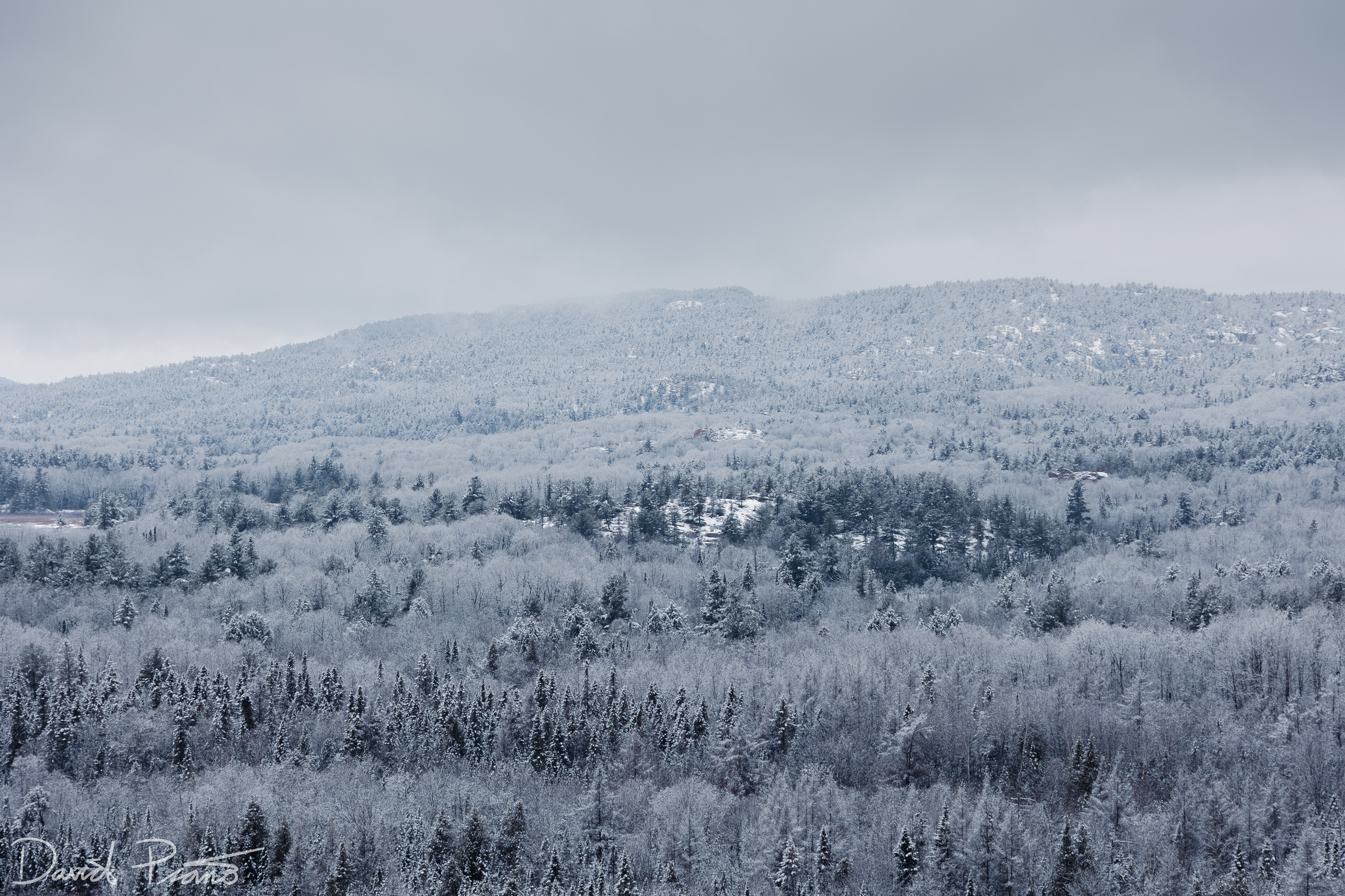 Snow-globe scenes at Killarney Provincial Park after a fresh snowfall - 03/25/2022