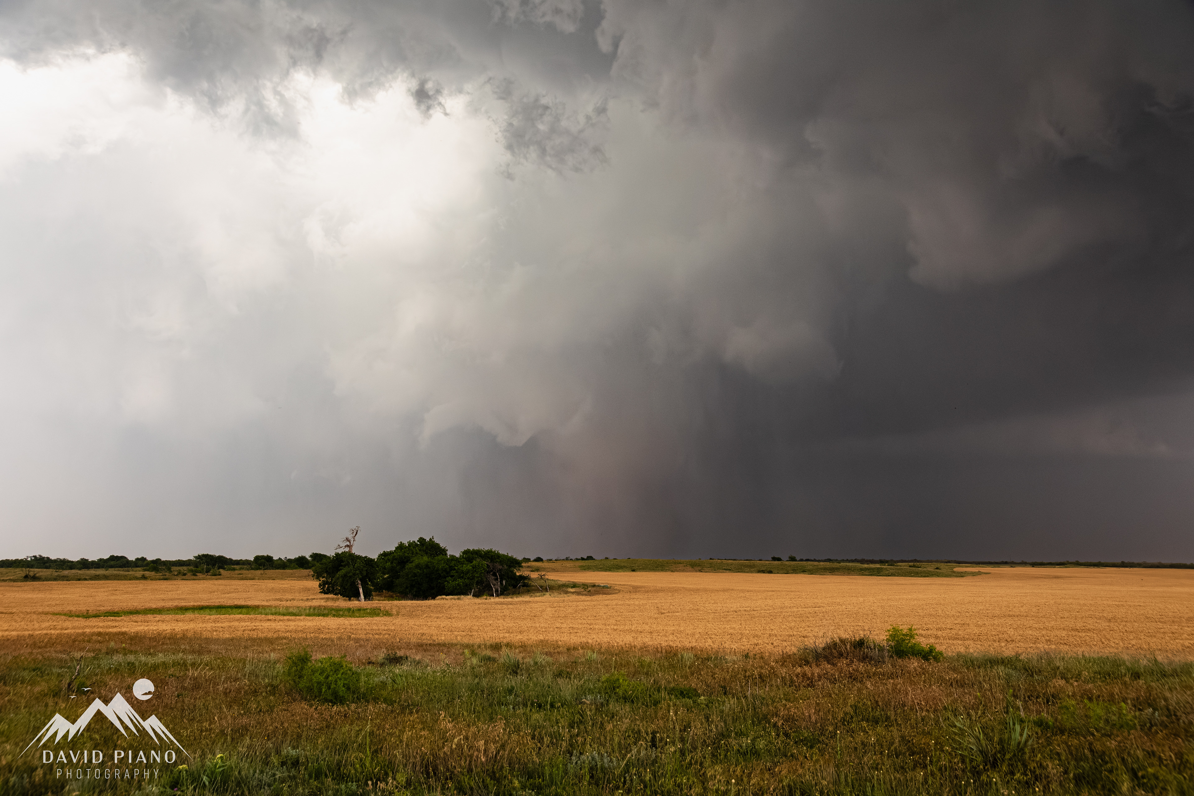 Horizontal vortex rounds the base of the mesocyclone with the tornado partially obscured in behind
