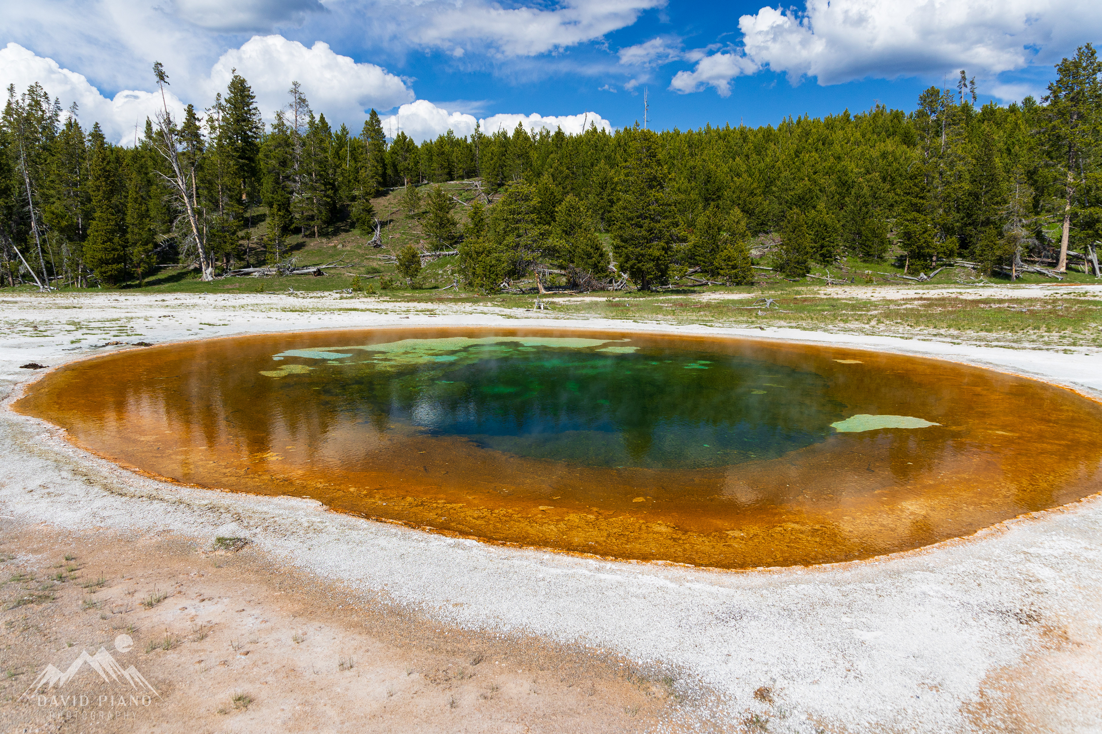 Beauty Pool