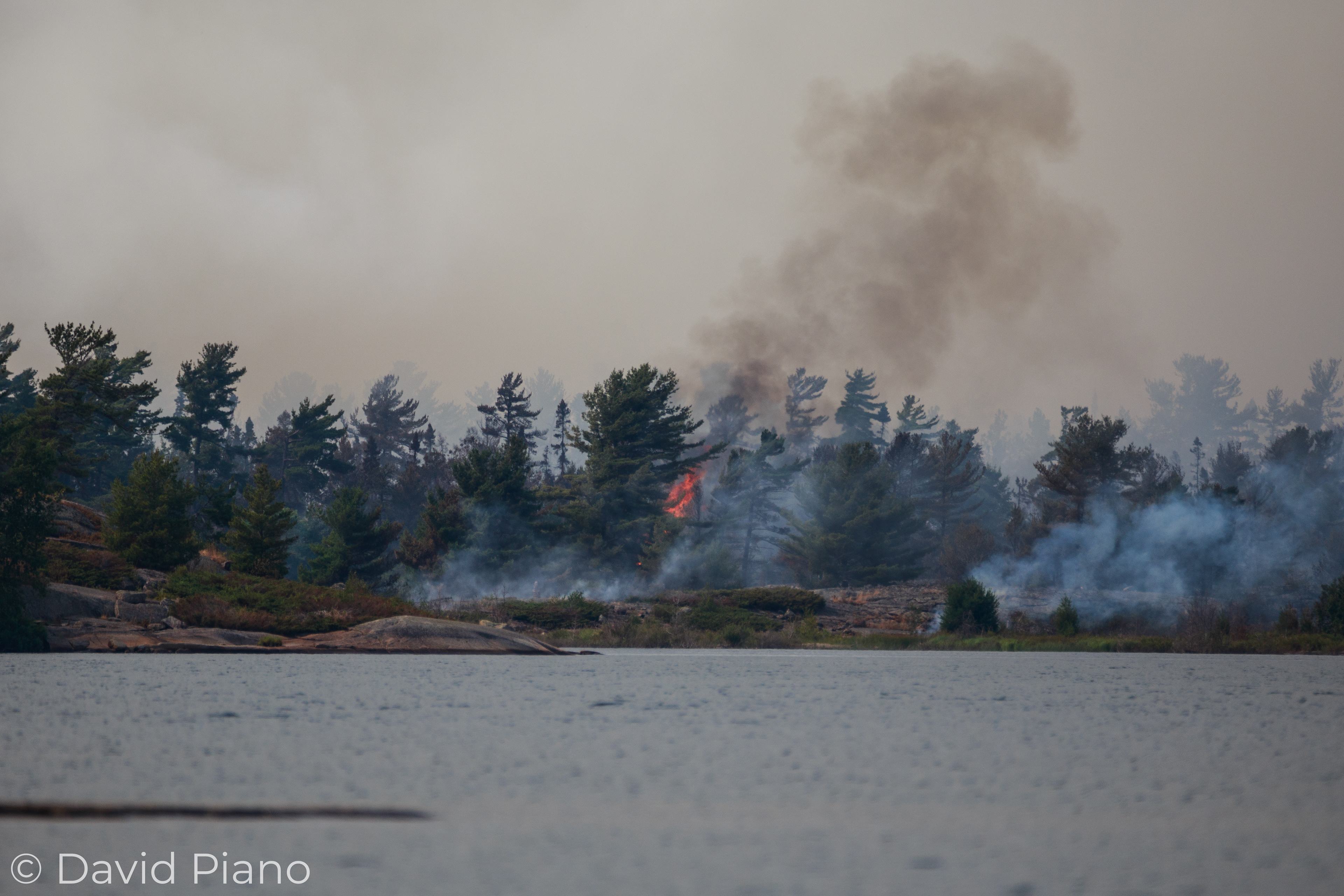 A pine tree erupts in flames - Parry Sound 33 Forest Fire - 07/21/2018