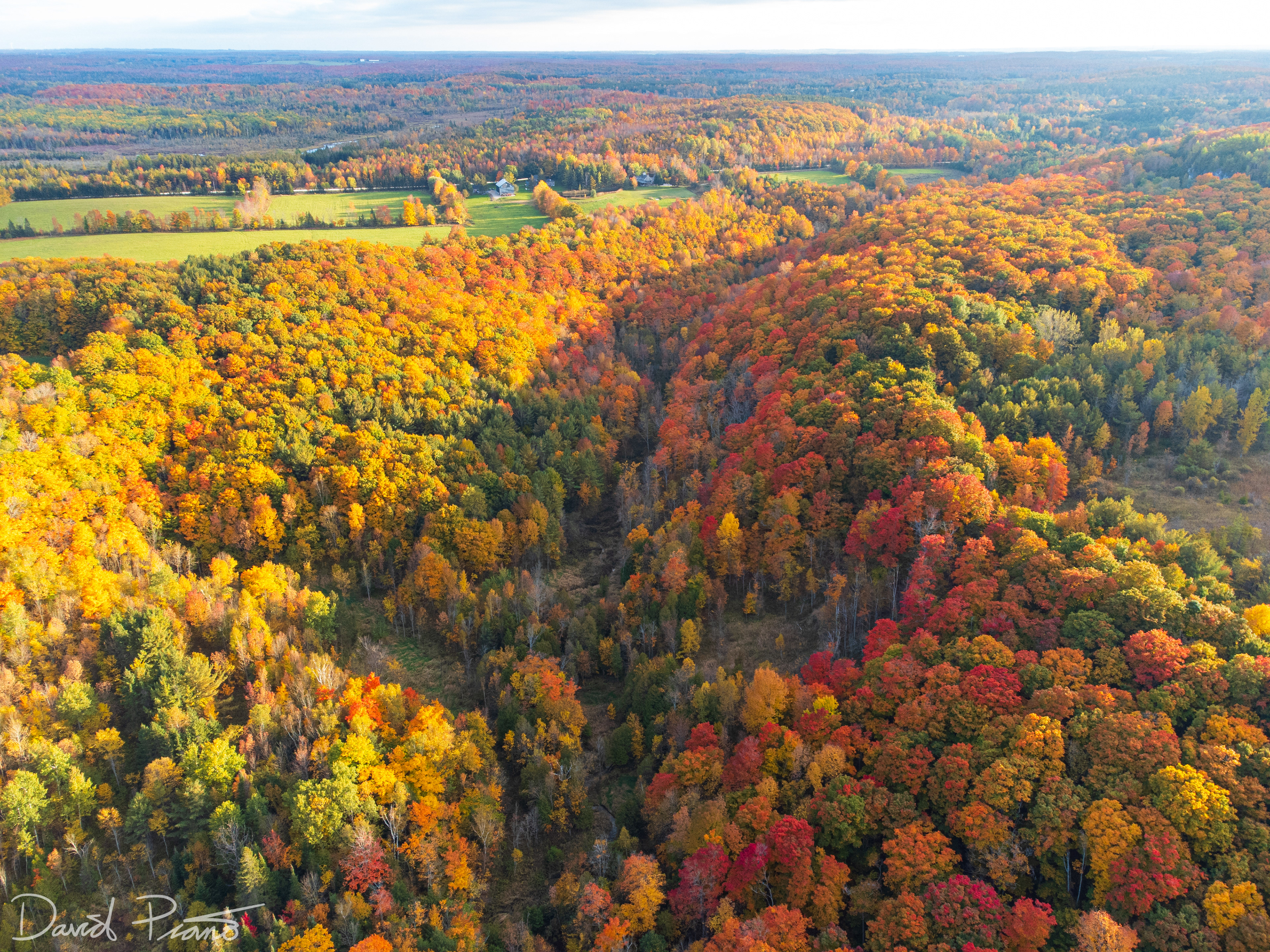 Fall colours in the Kolapore Uplands - October 2021