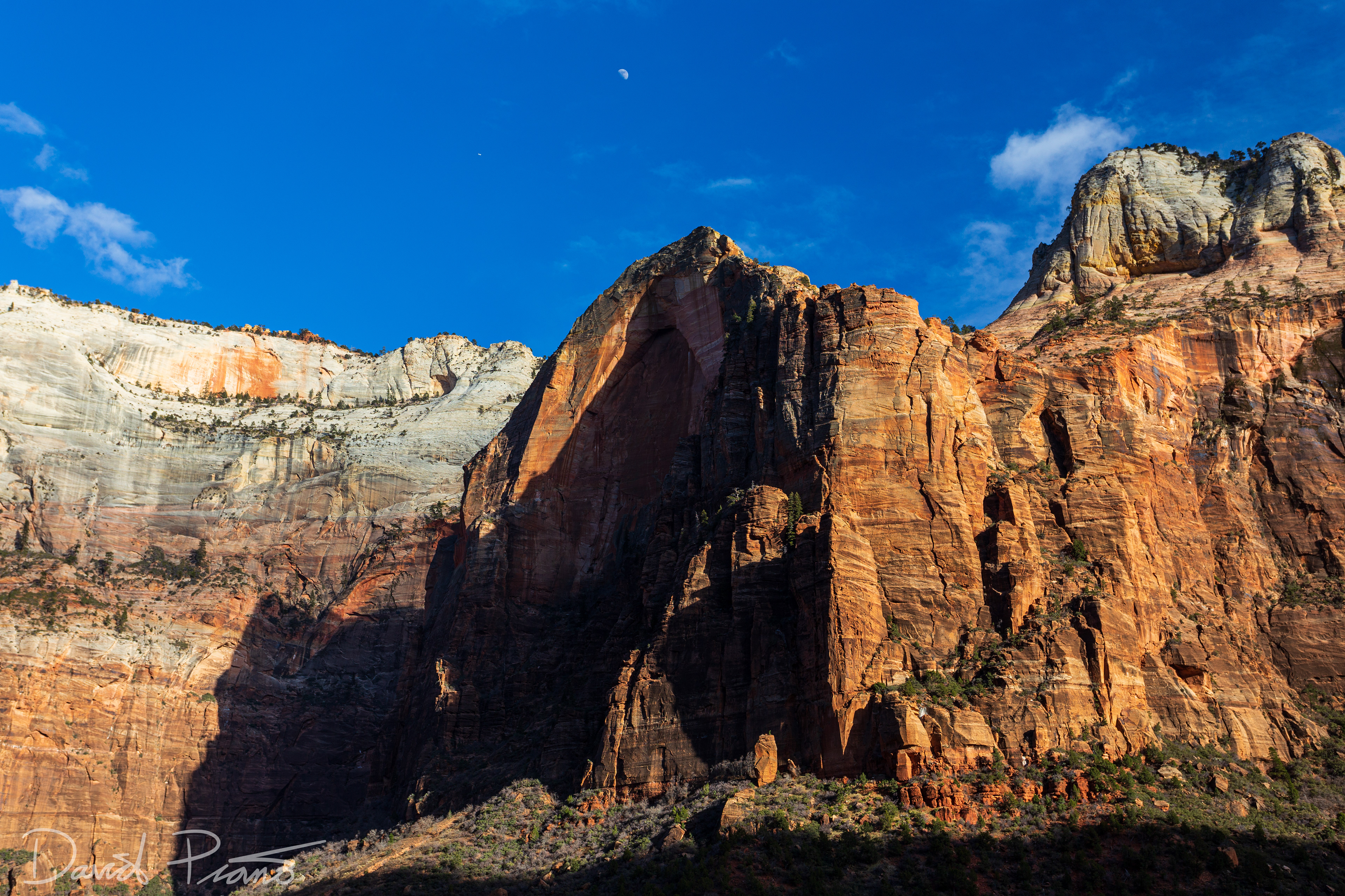 Zion Canyon - Feb. 2020