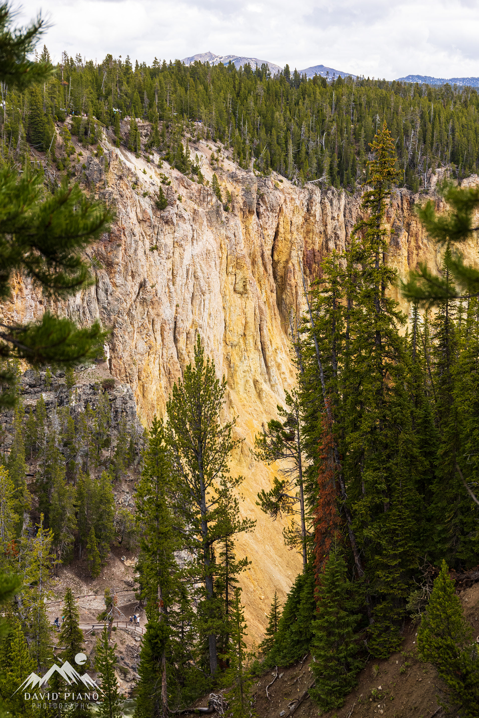 Grand Canyon of the Yellowstone River
