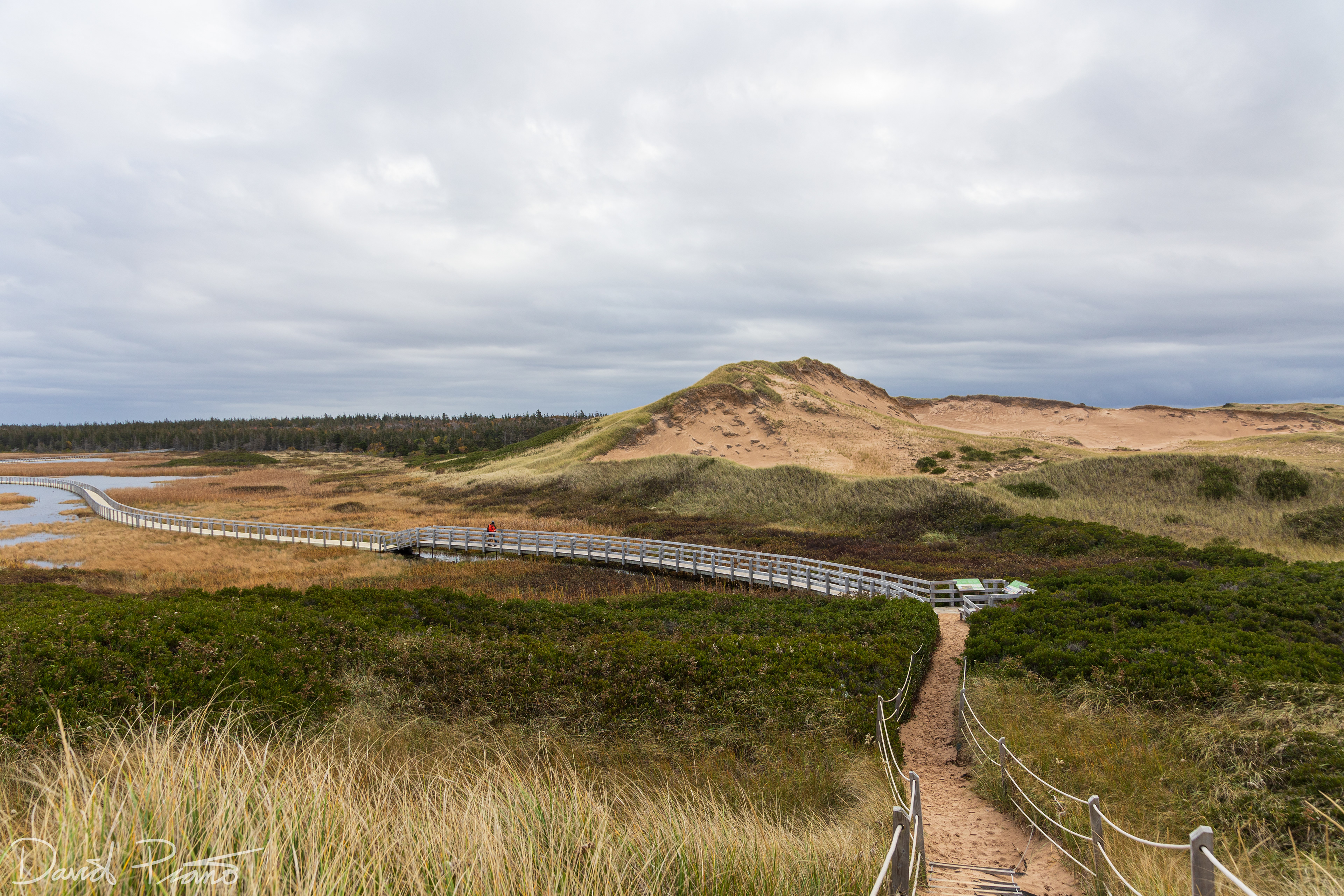 Greenwich Sand Dunes