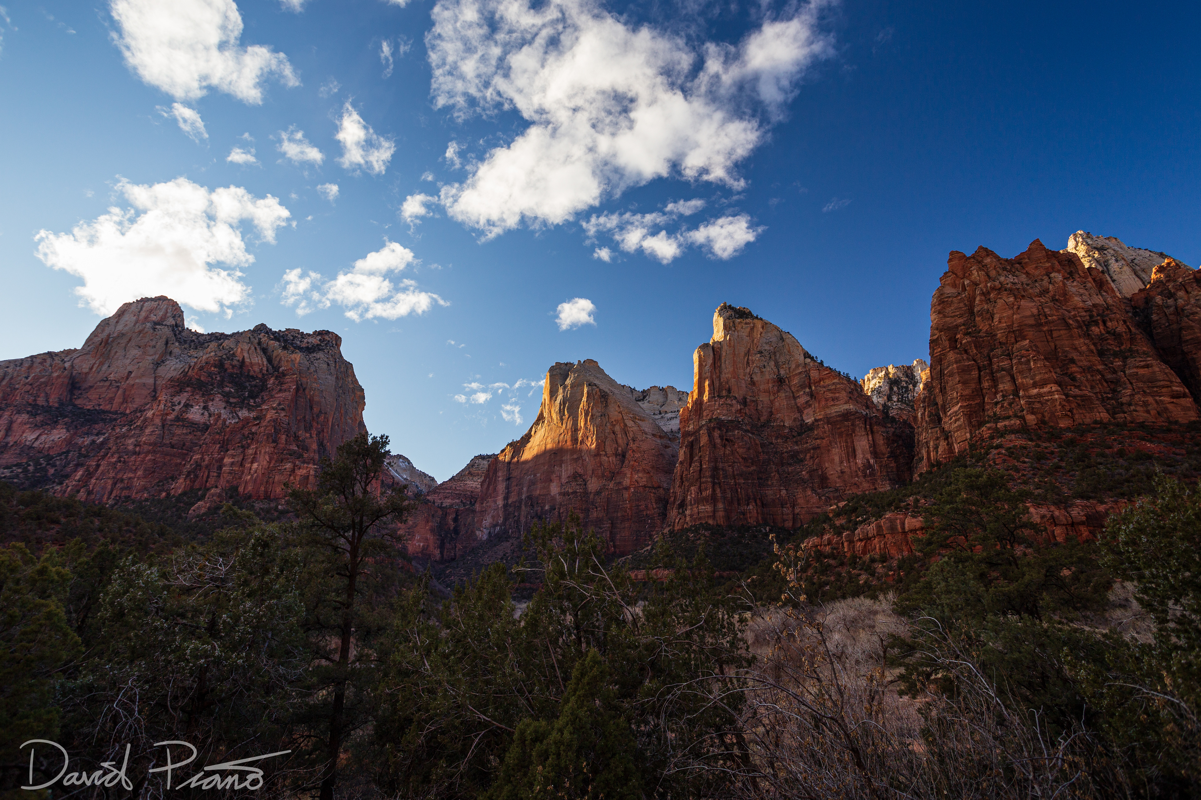 Court of the Patriarchs - Feb. 2020