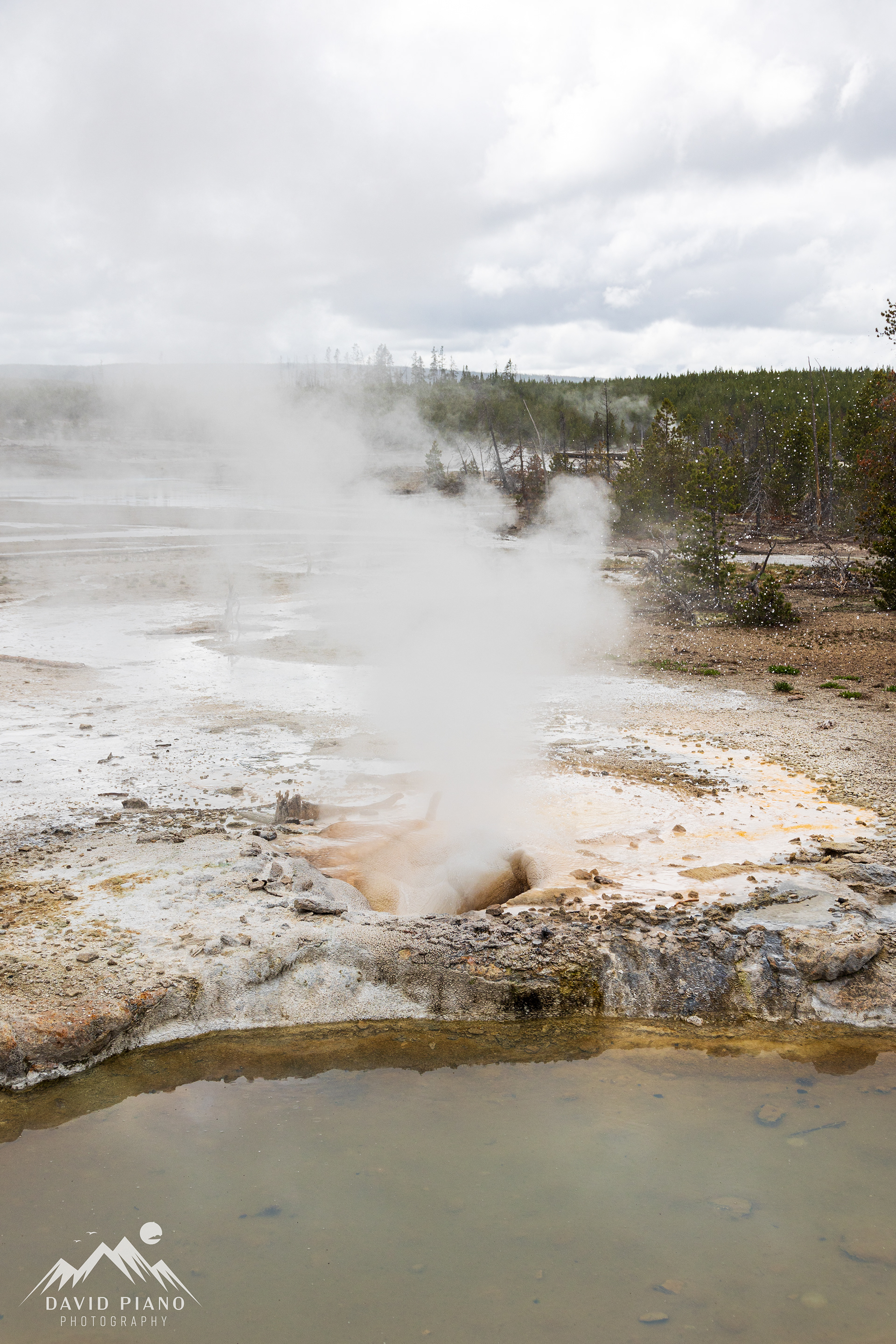 Veteran Geyser