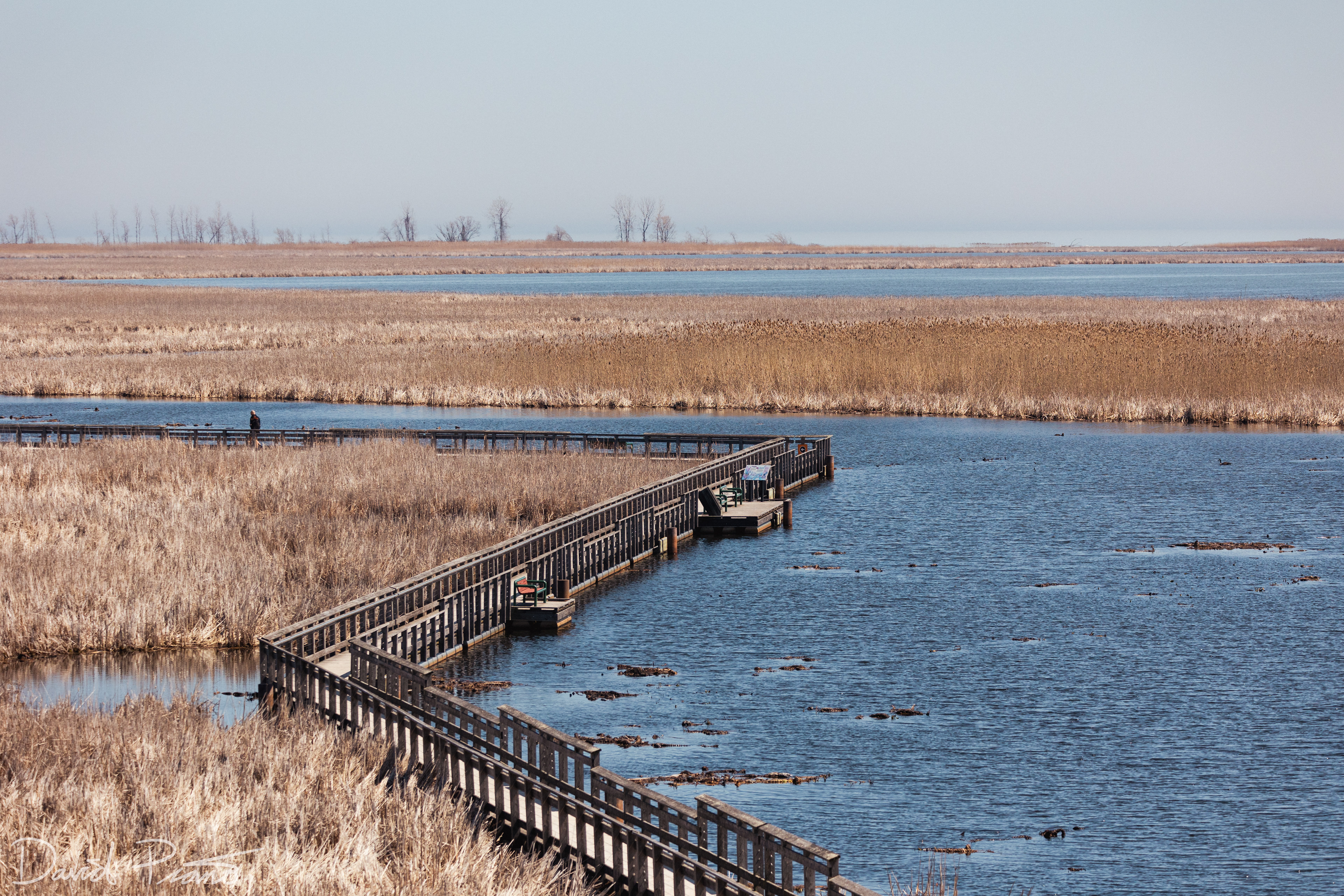 Marsh boardwalk