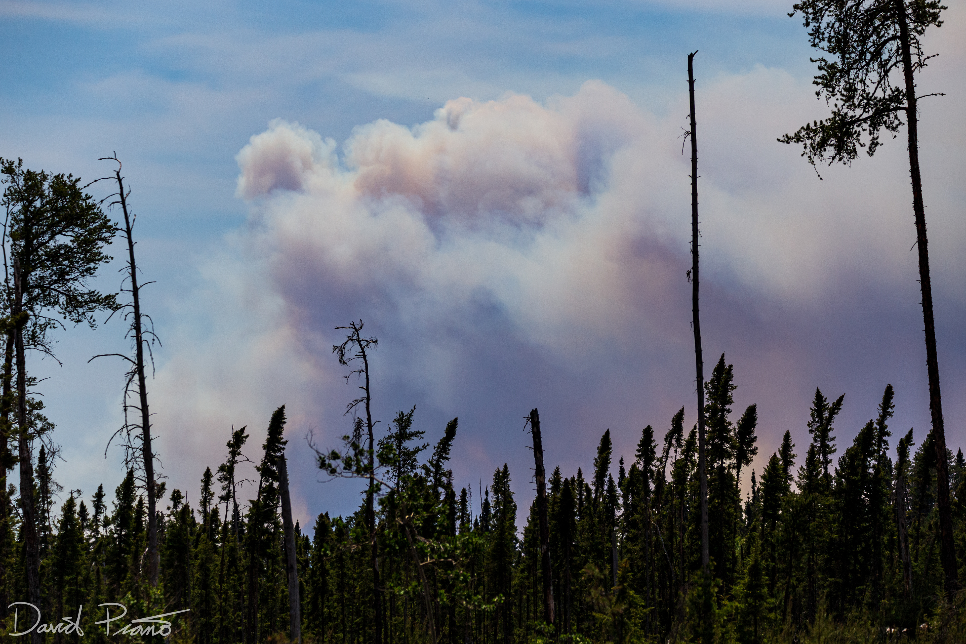 Forest fire burning near Upsala in NW Ontario - June 2021