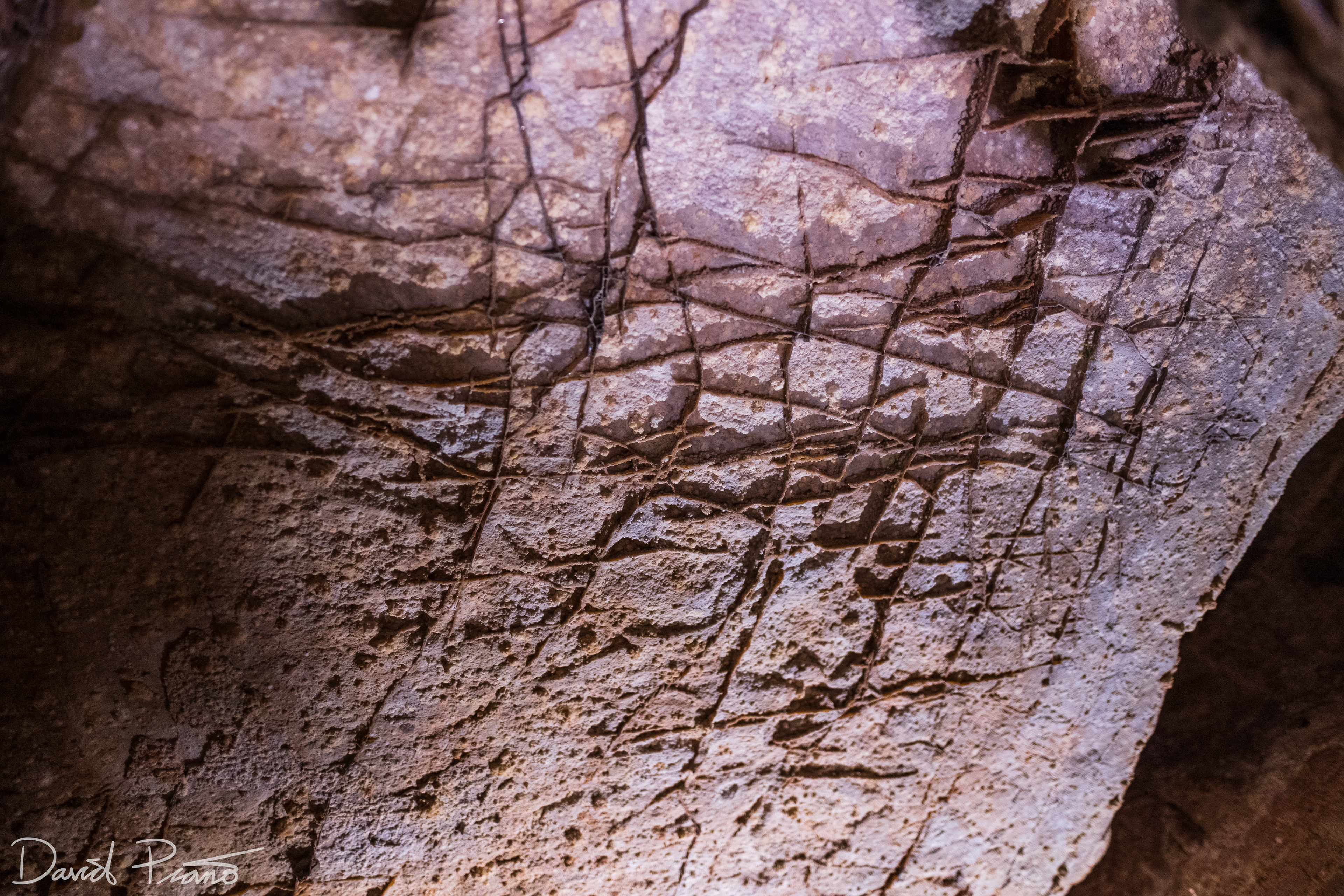 Boxwork formations (blades of calcite) in Wind Cave