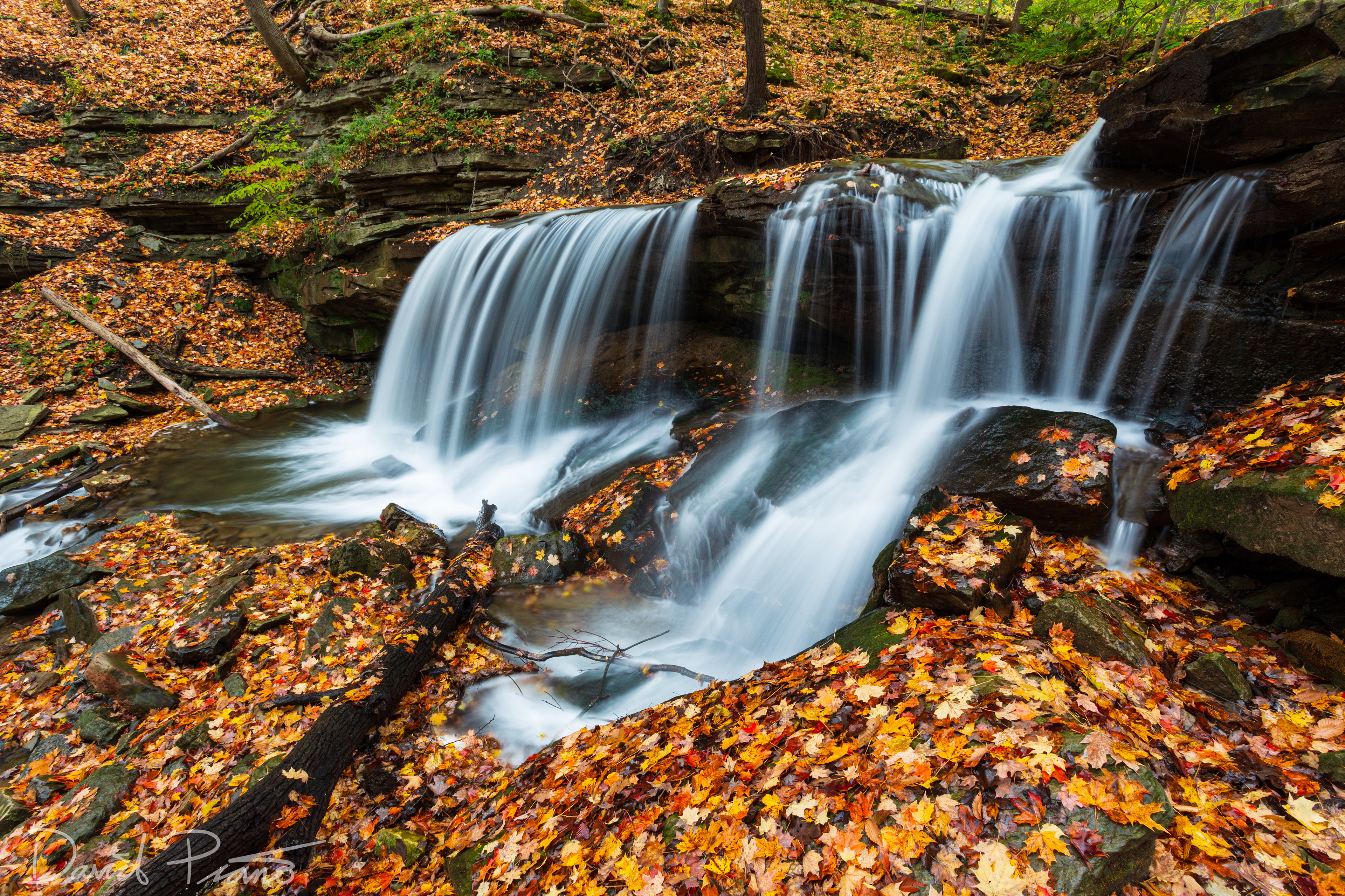 Lower Tew's Falls - Dundas, ON - October 2016