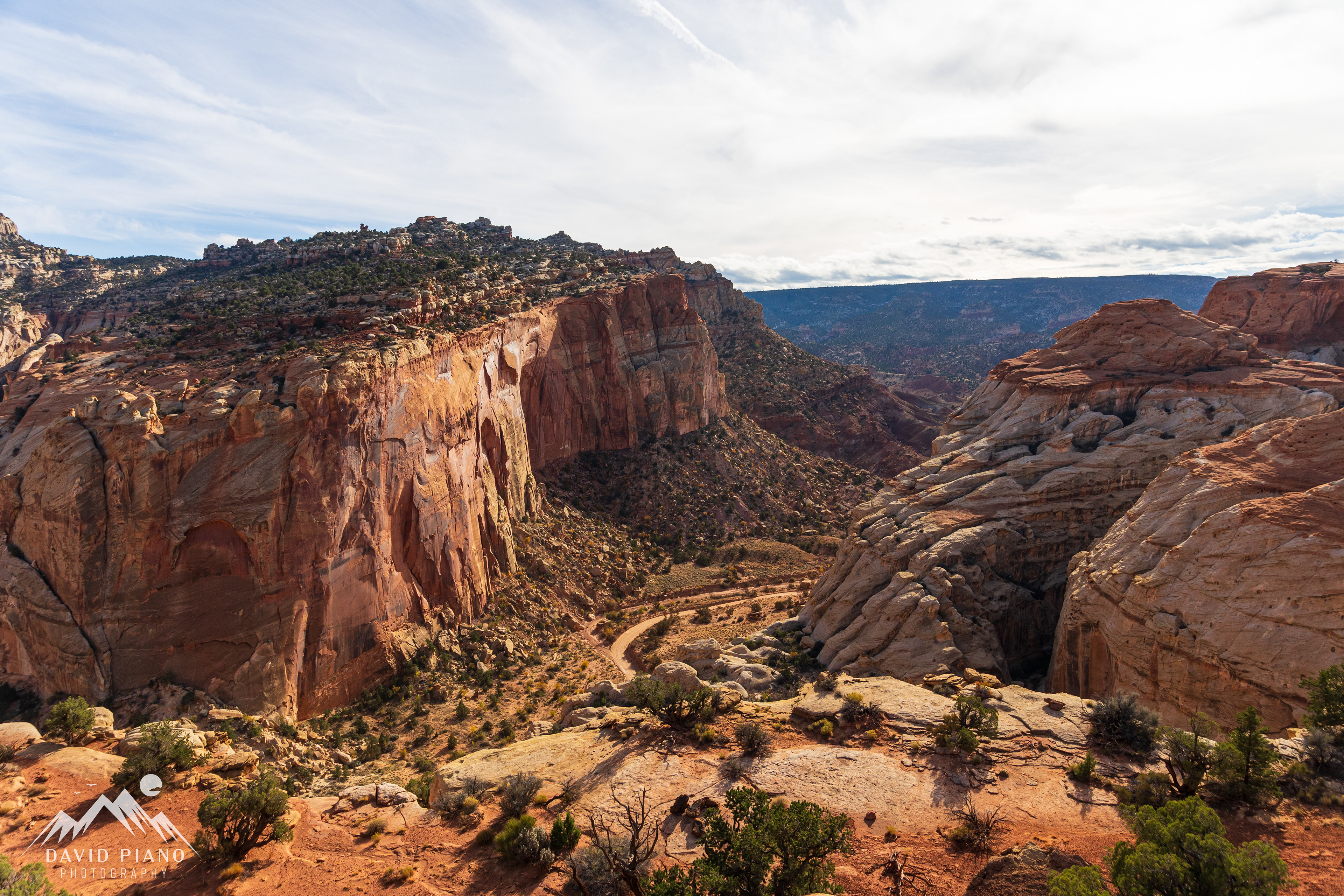 View of Grand Wash along the Cassidy Arch Trail