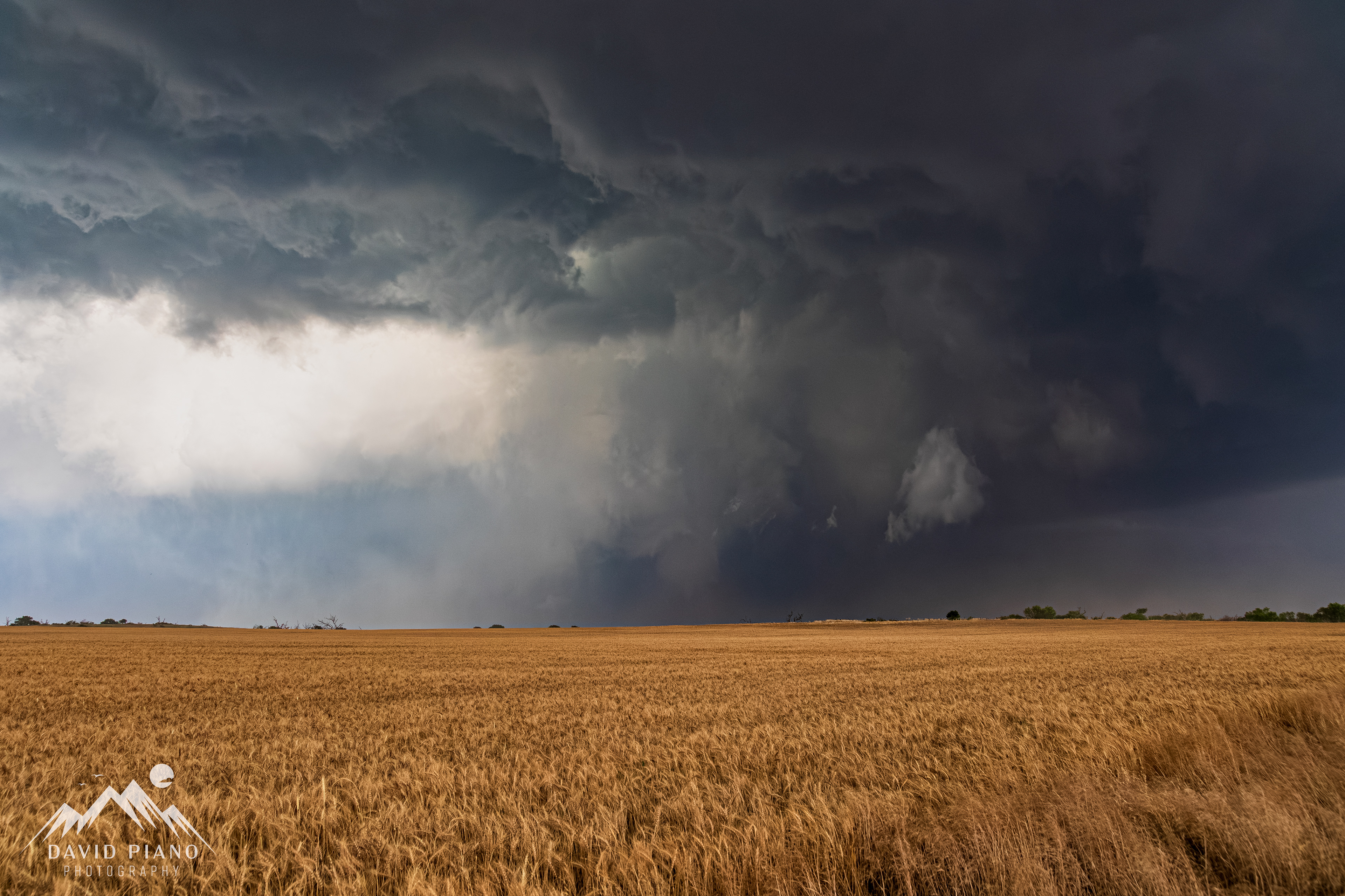 Wide shot showing the clear RFD cut and distant cone tornado