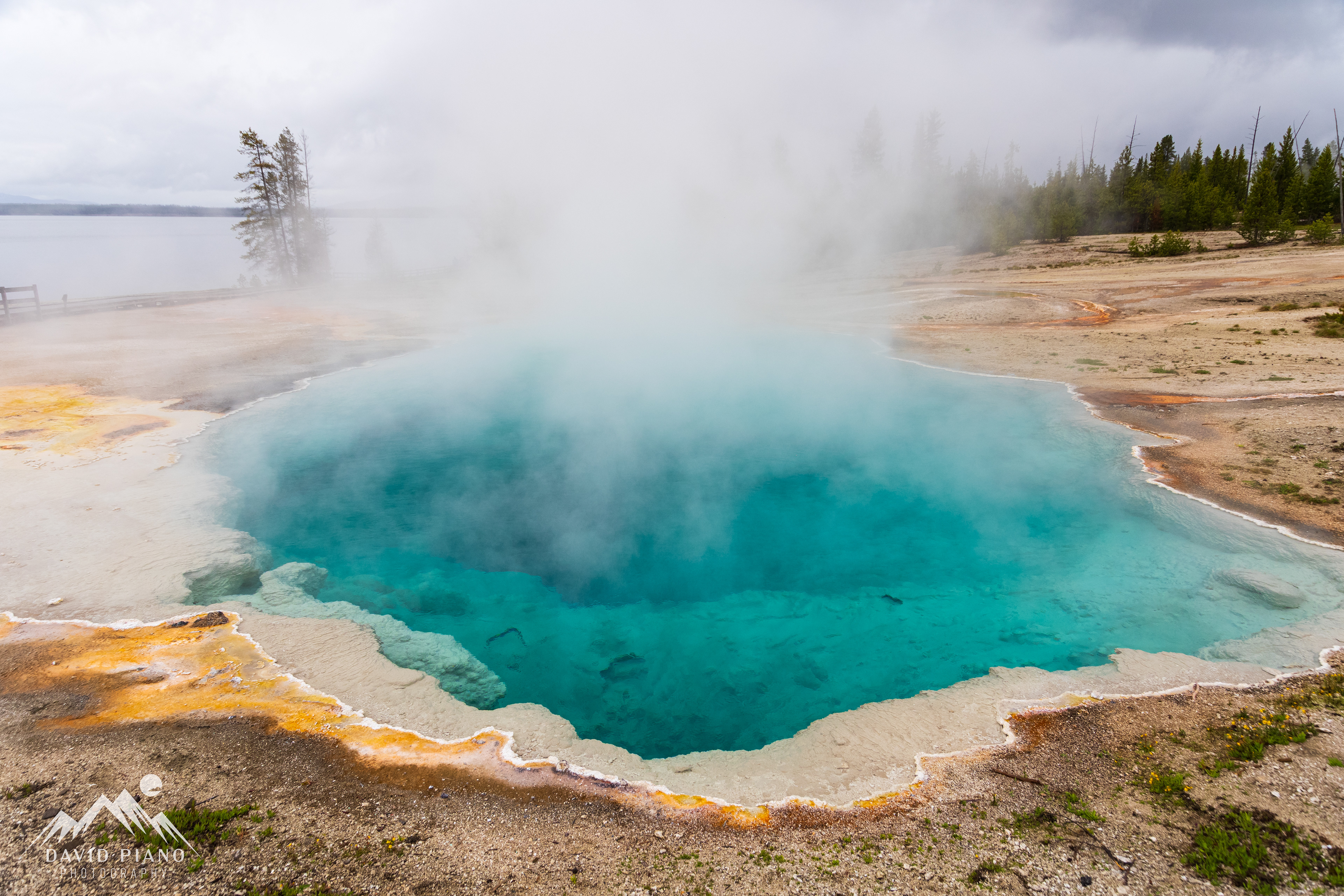 Black Pool