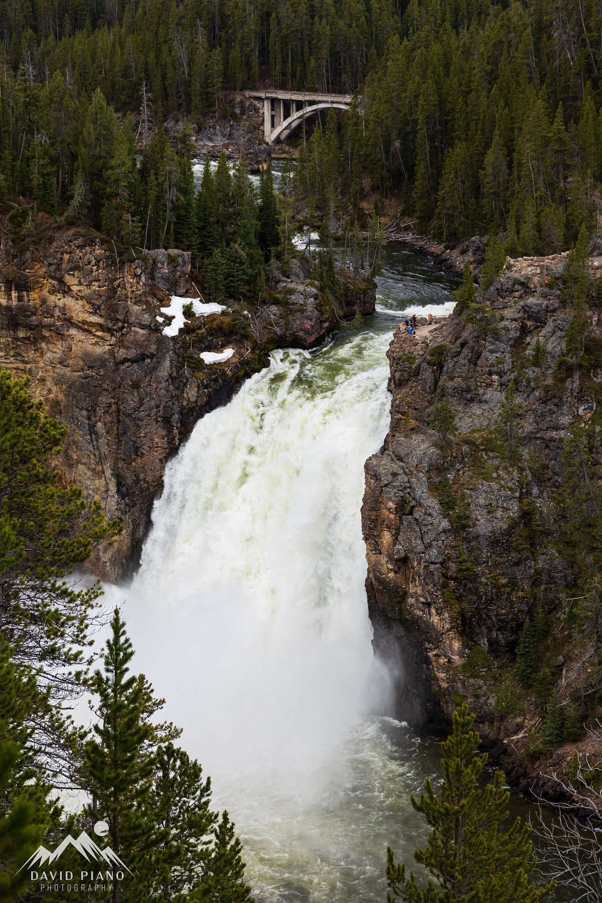 Upper Falls of the Yellowstone River