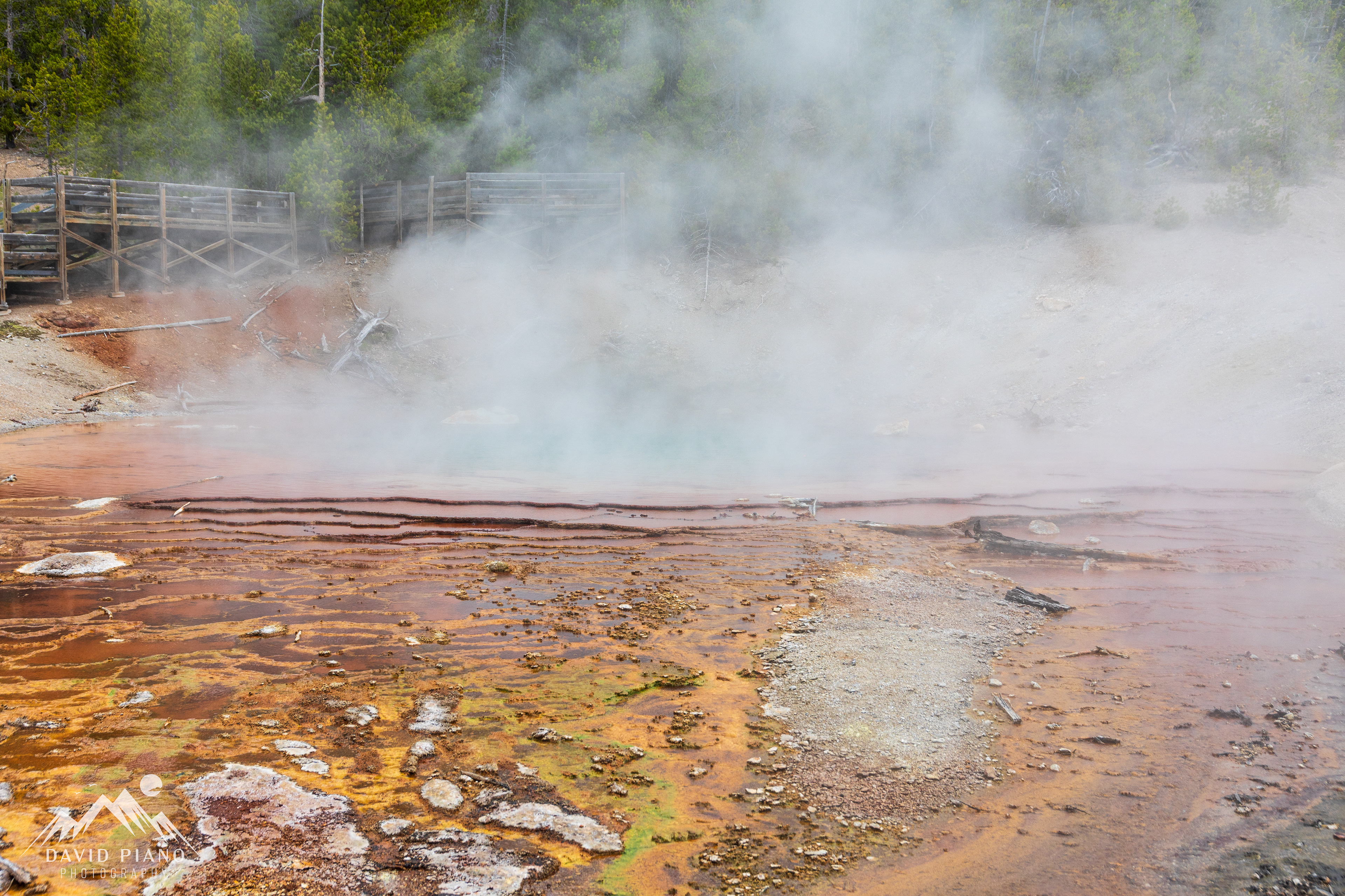 Echinus Geyser