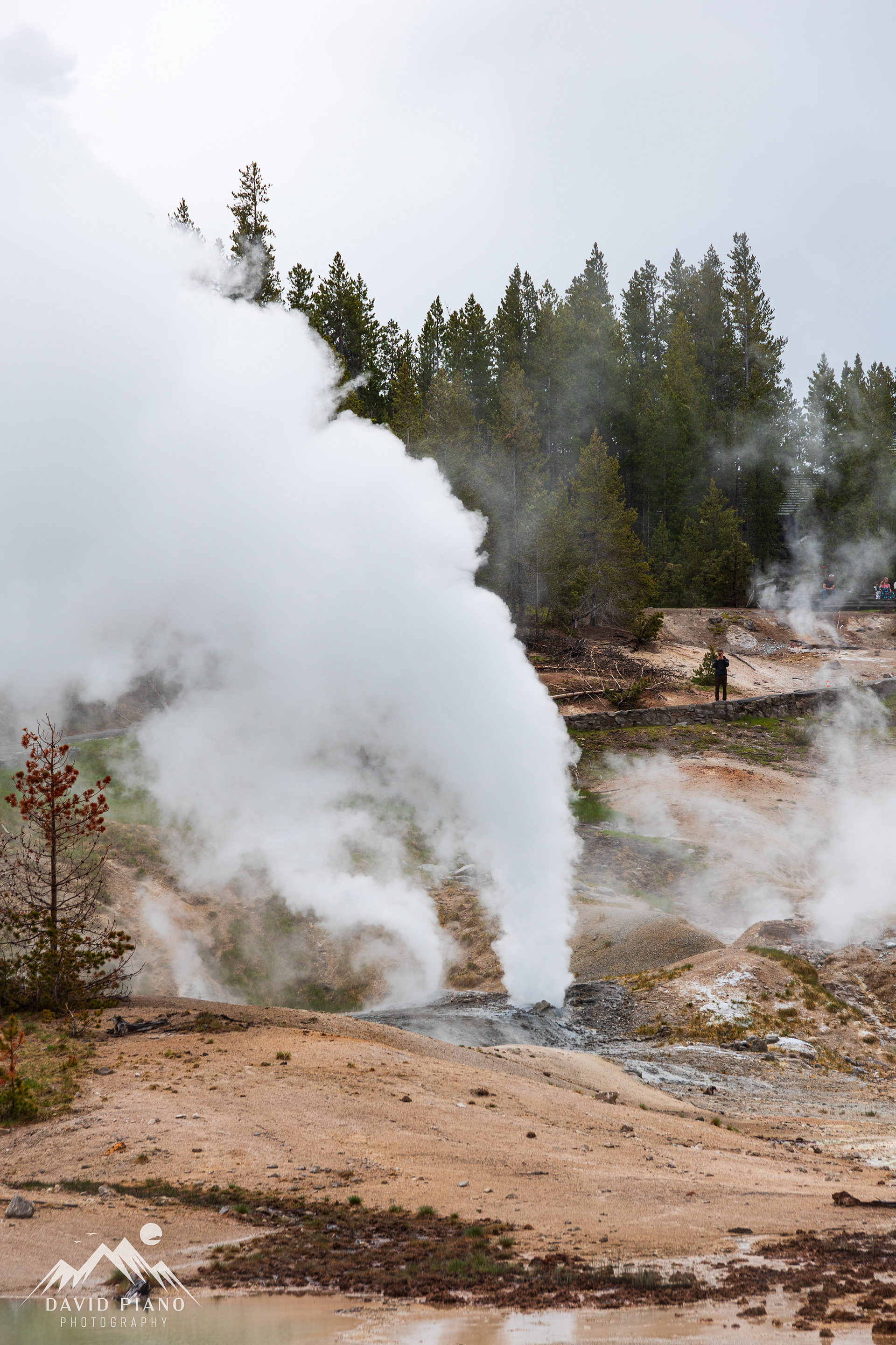 Ledge Geyser