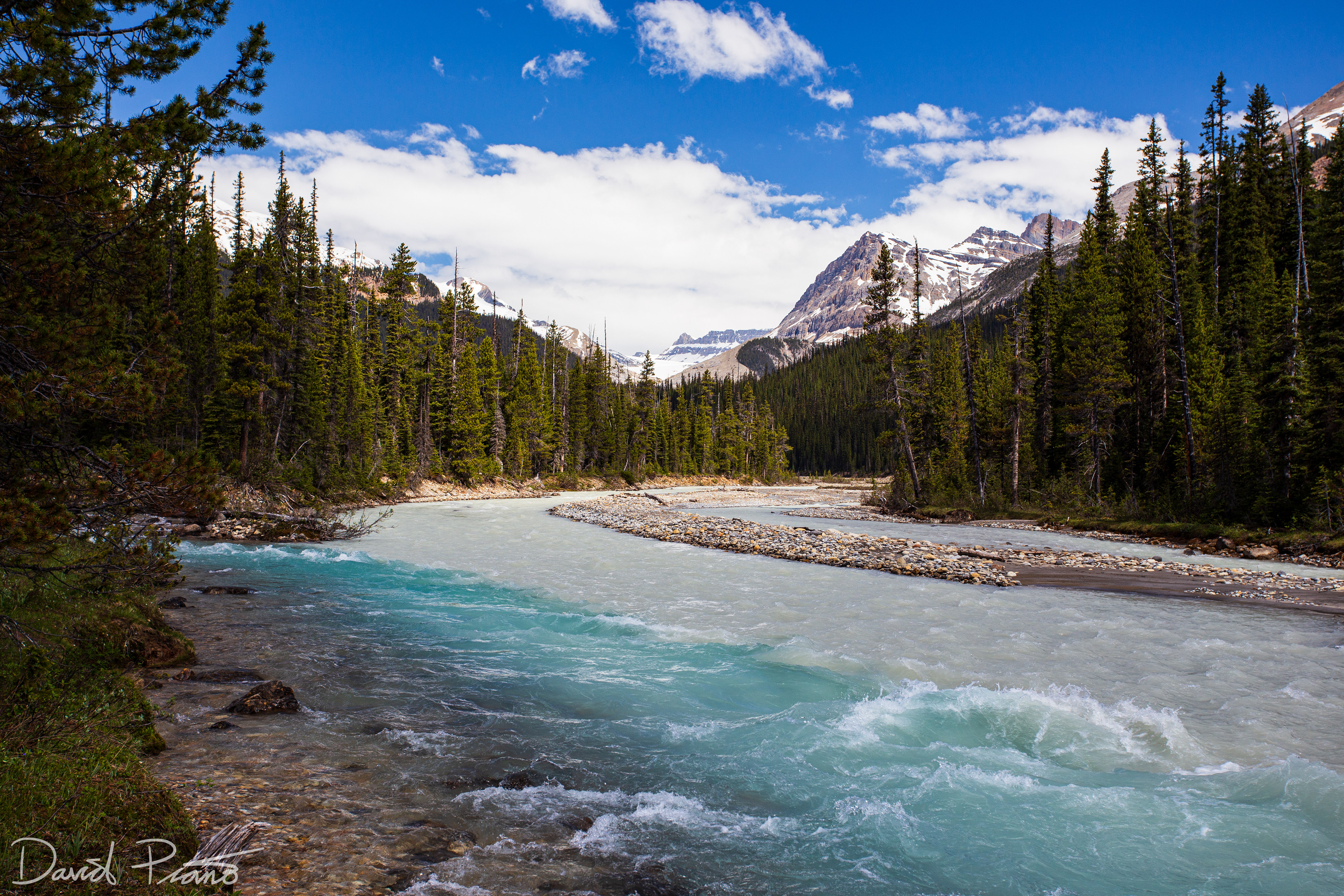 River convergence - Yoho National Park