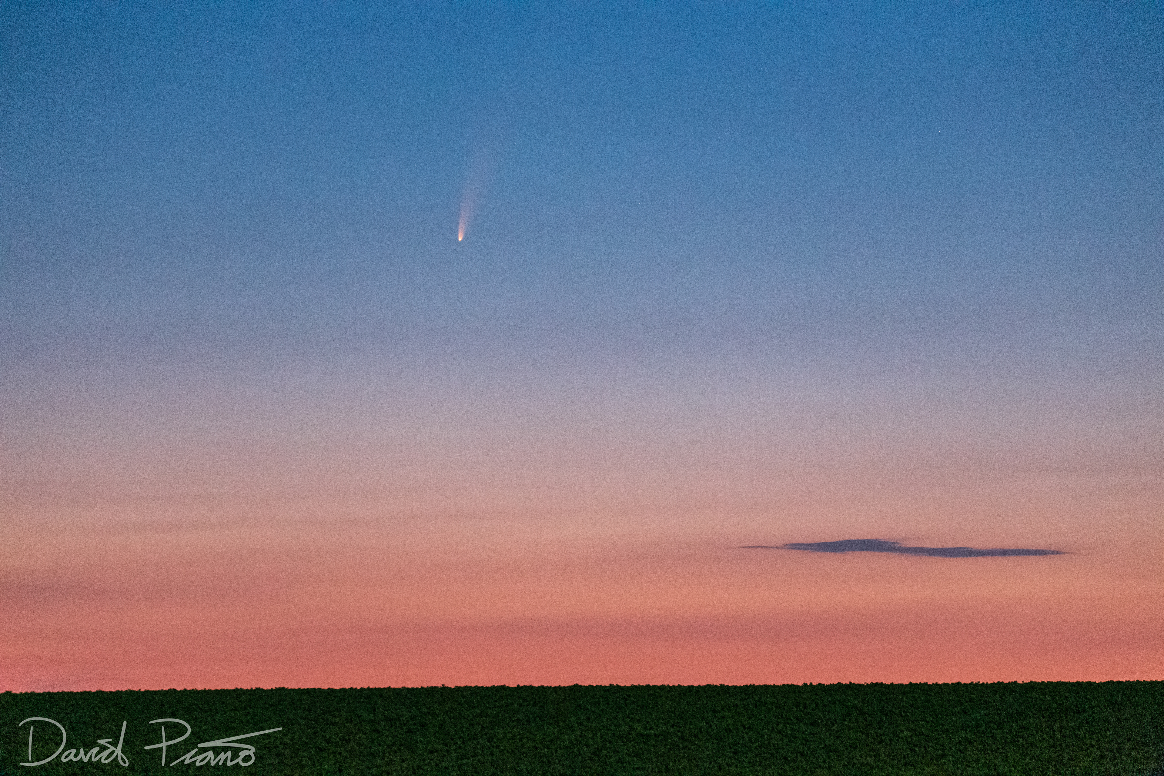 Comet NEOWISE in the dawn sky near Ingersoll, ON - July 2020