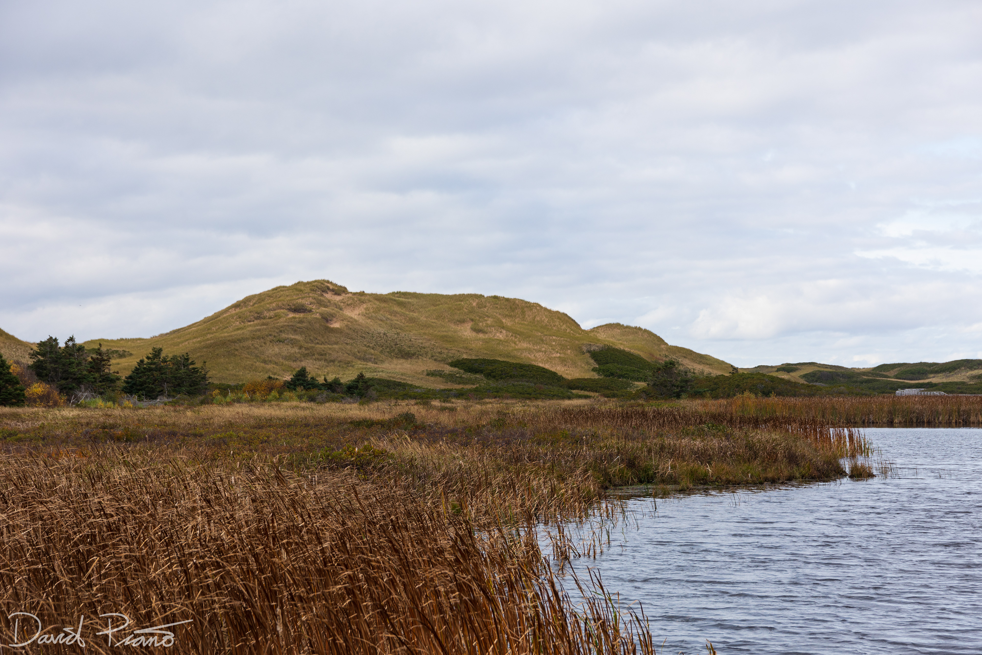 Greenwich Sand Dunes