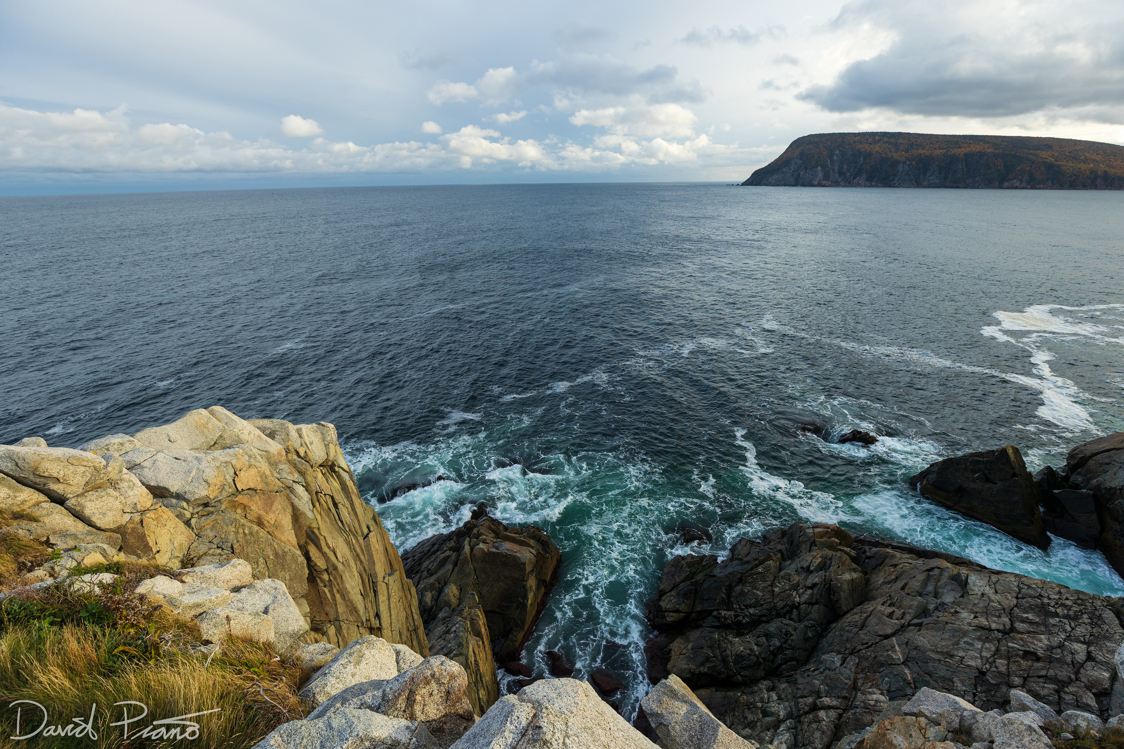 Middle Head Trail