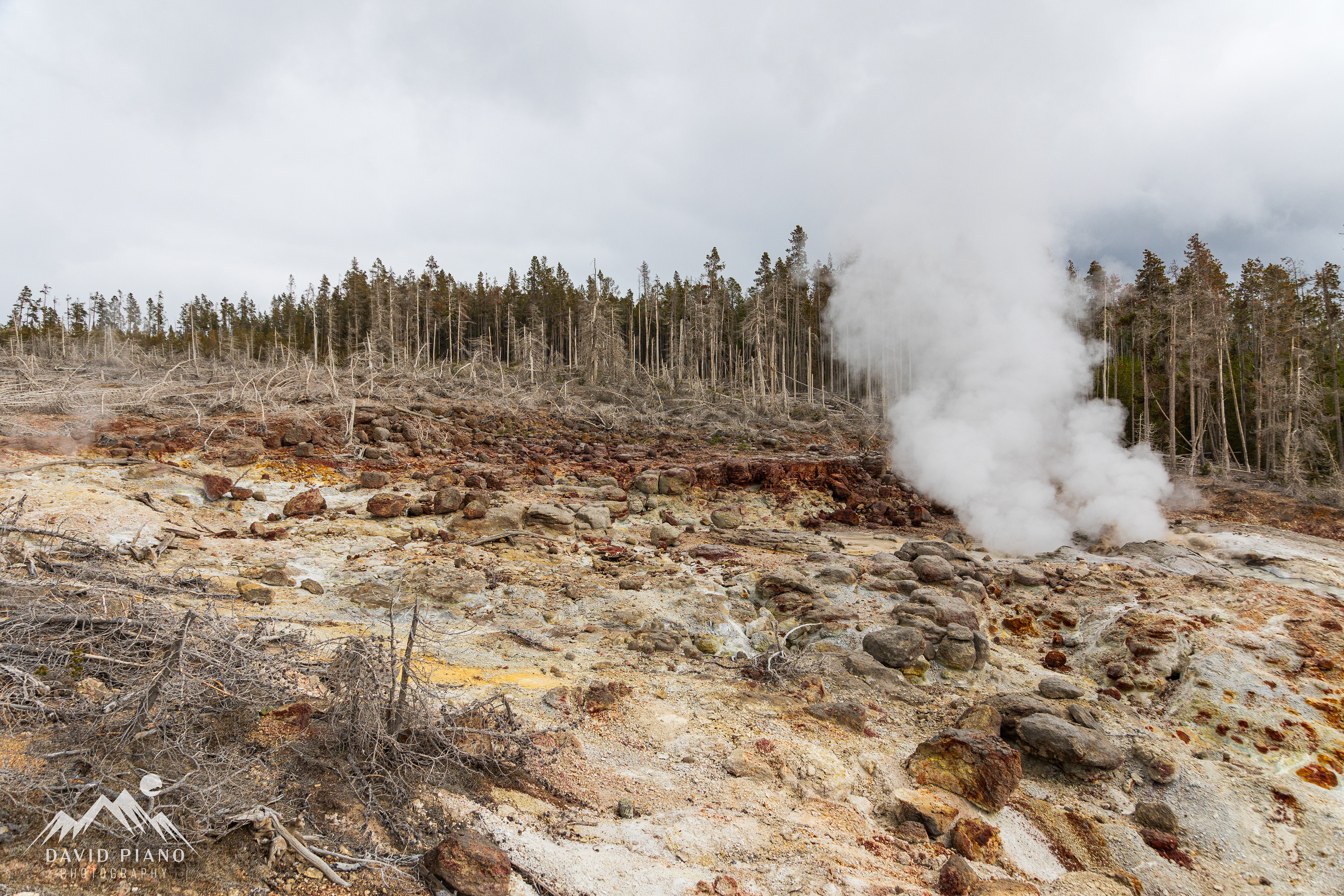 Steamboat Geyser