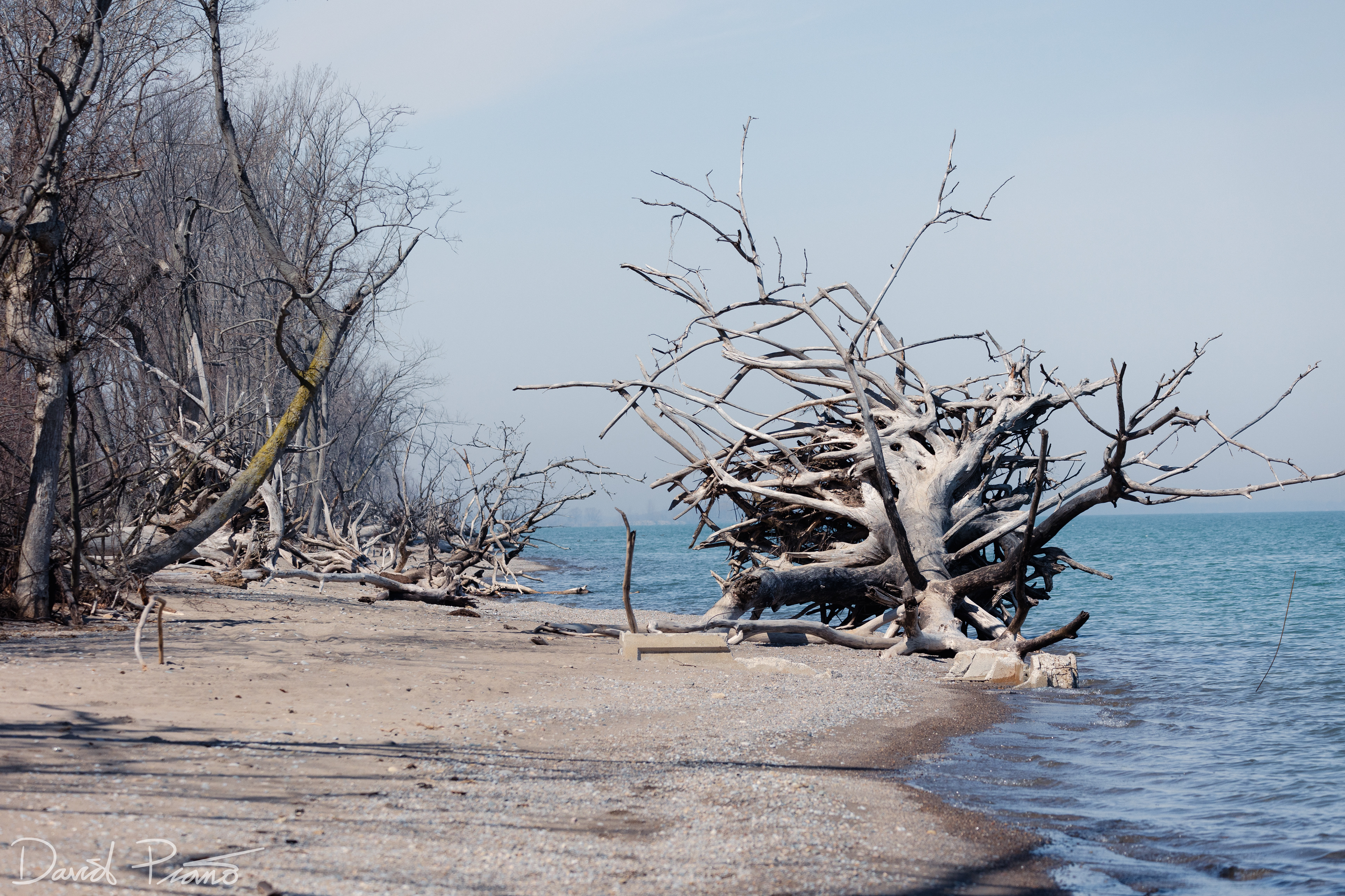 East Beach