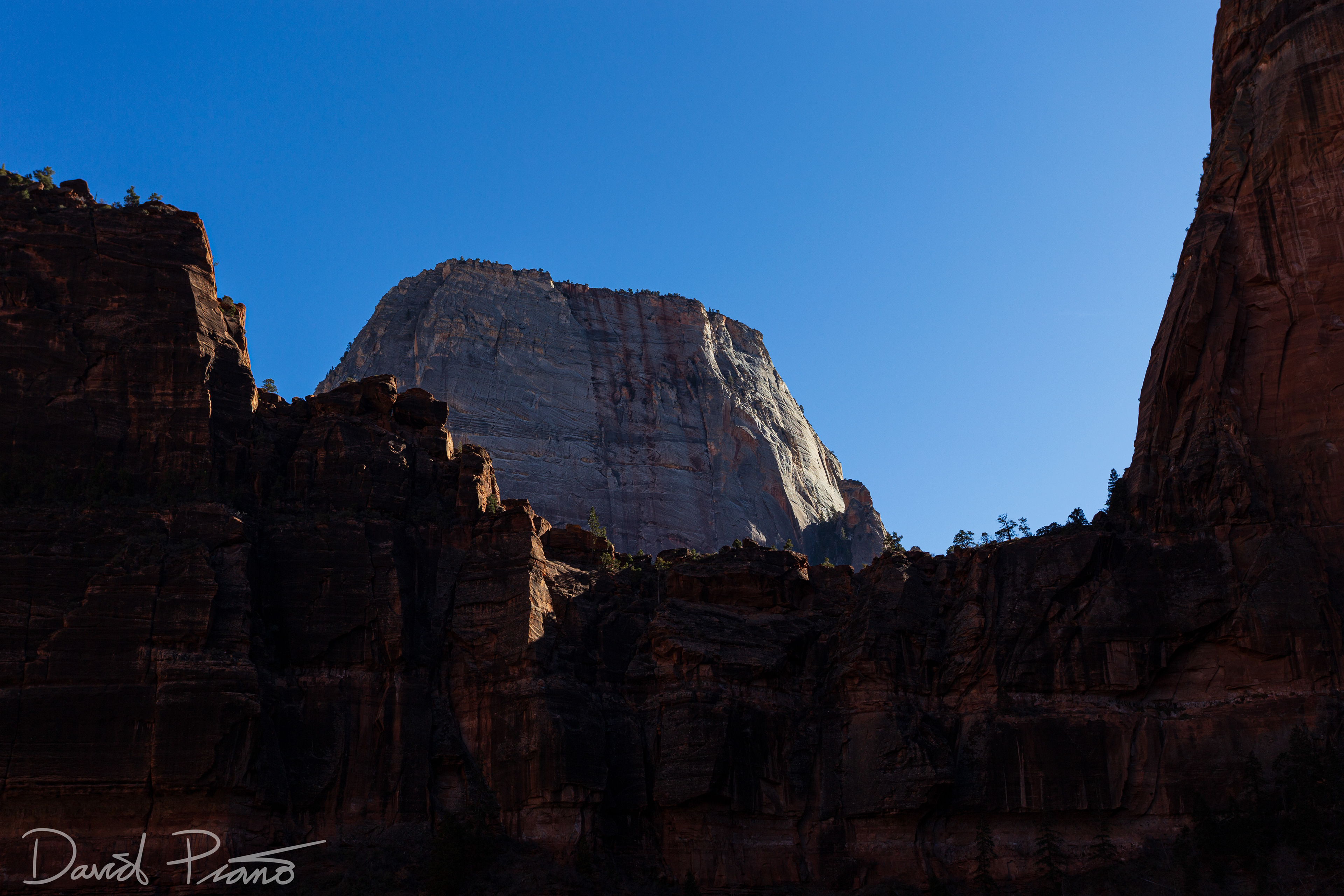 Zion National Park - Feb. 2020